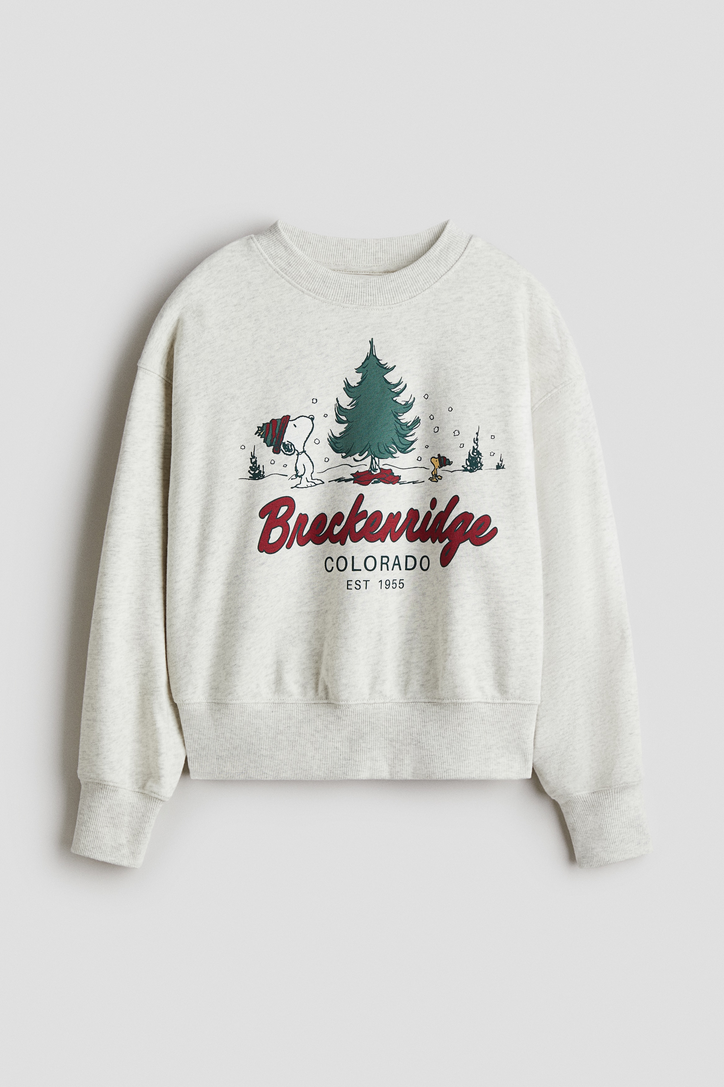 Fille - Sweat oversize imprimé Gris clair chiné/Snoopy - Size: 146/152 (10-12Y)  - H&M