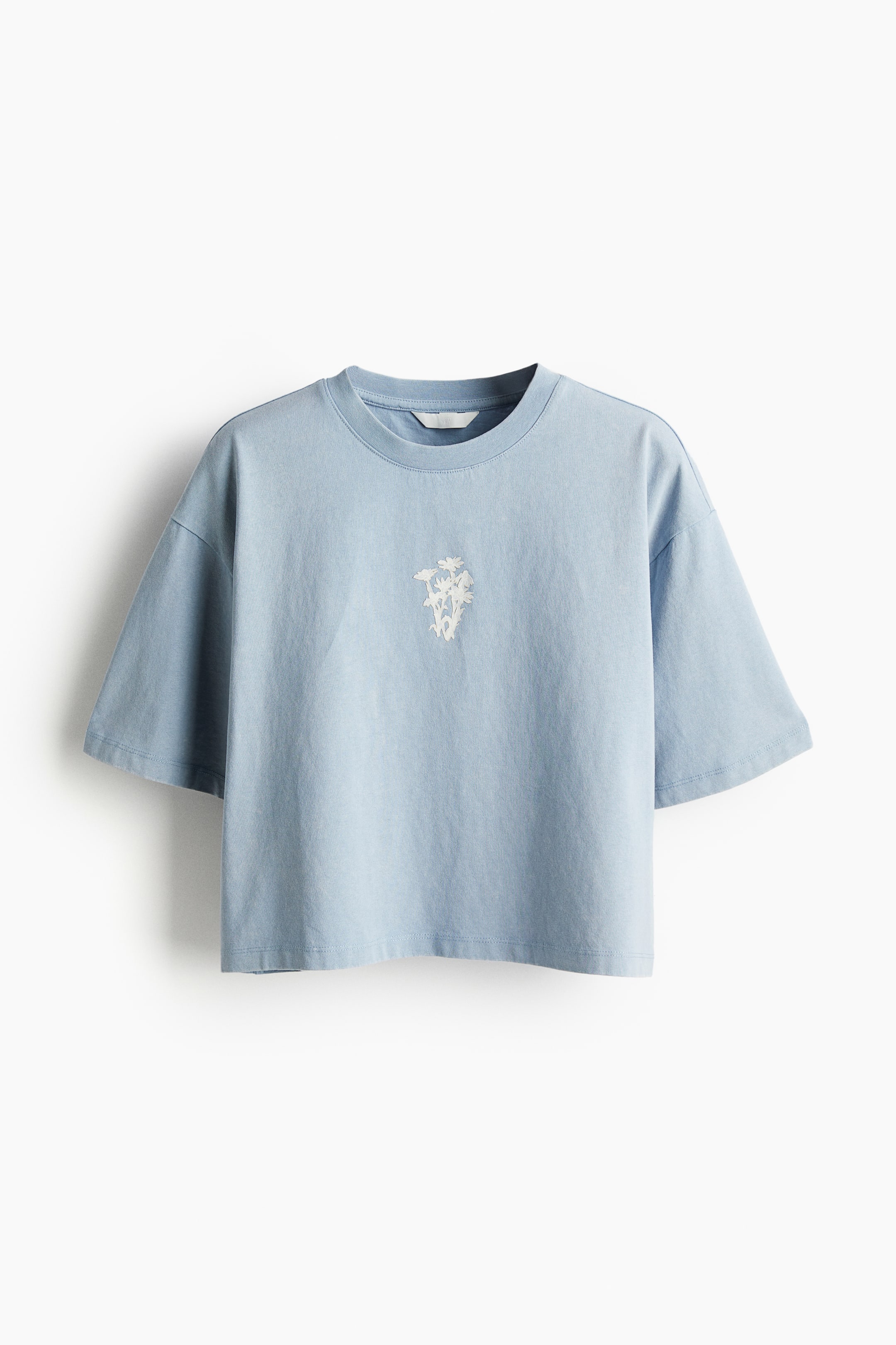 拡大画像を表示: オーバーサイズ プリントTシャツ - ライトブルー - レディース | H&M JP 1