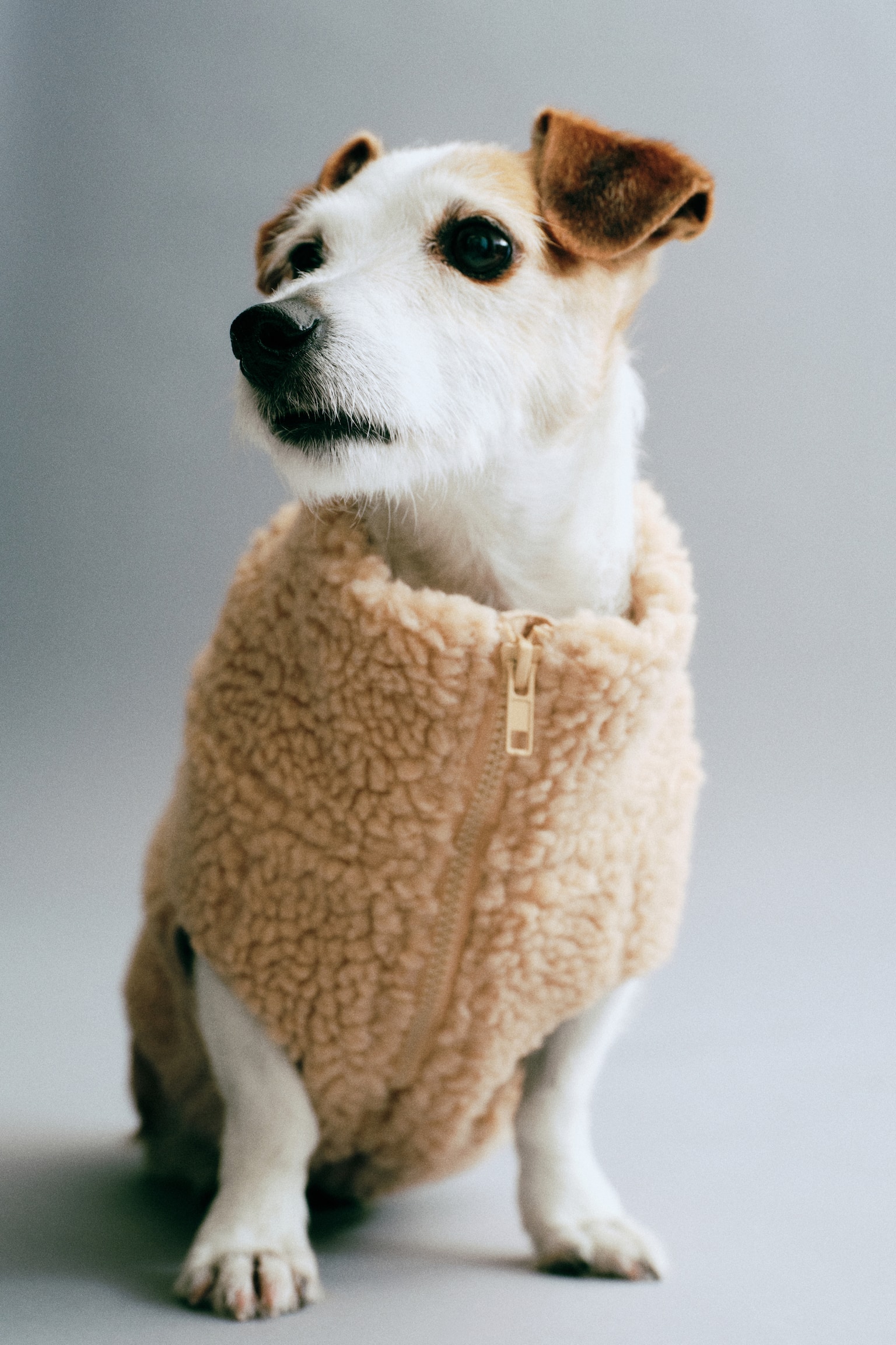 Женское пальто H&M Teddy Fleece Dog, цвет: Бежевый — фото 3
