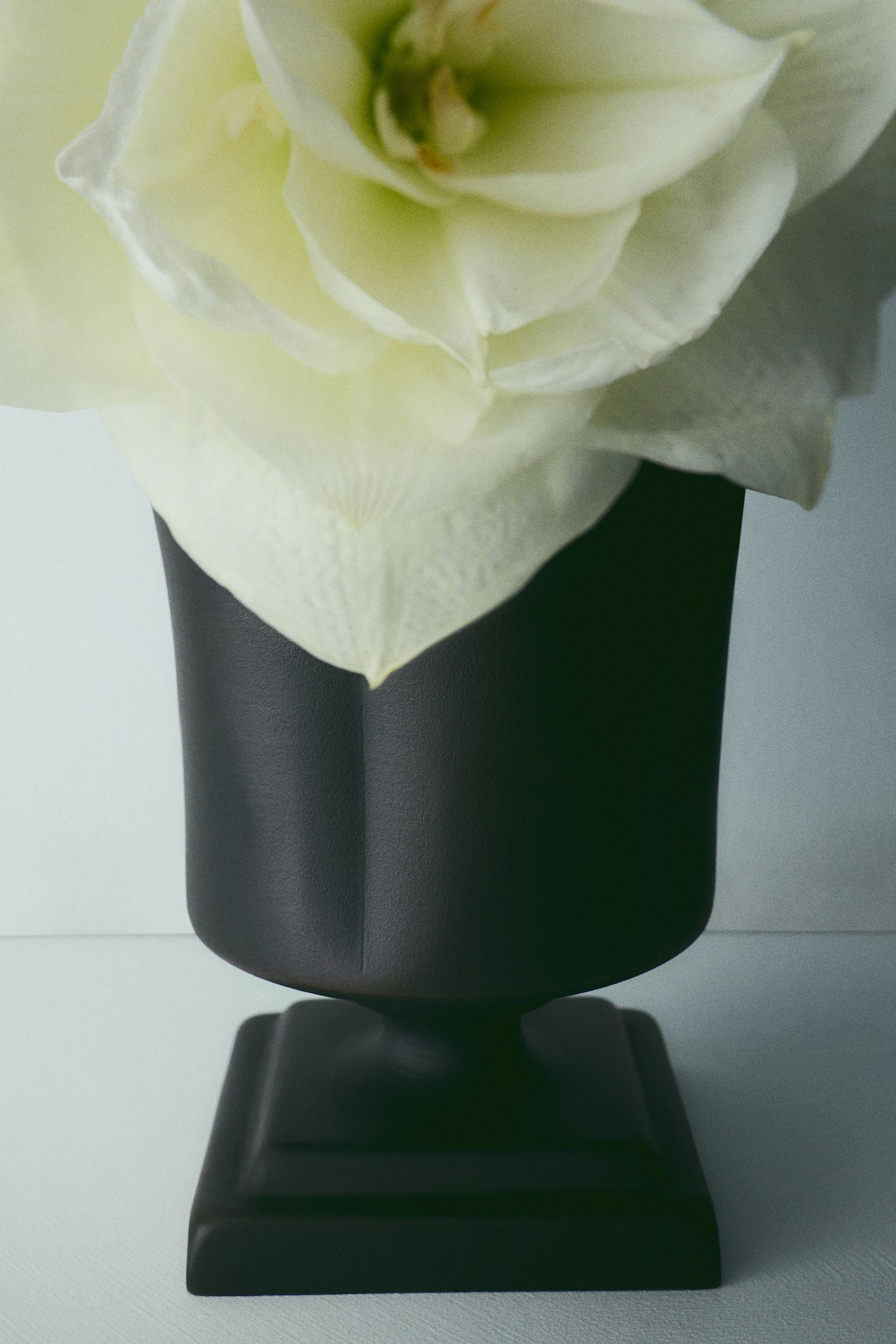 View larger image: A dark metal plant pot facing forward holds a large, pale yellow flower draping over its rim. The pot features a matte-textured, paneled body and rests on a tiered, square sculptural base.