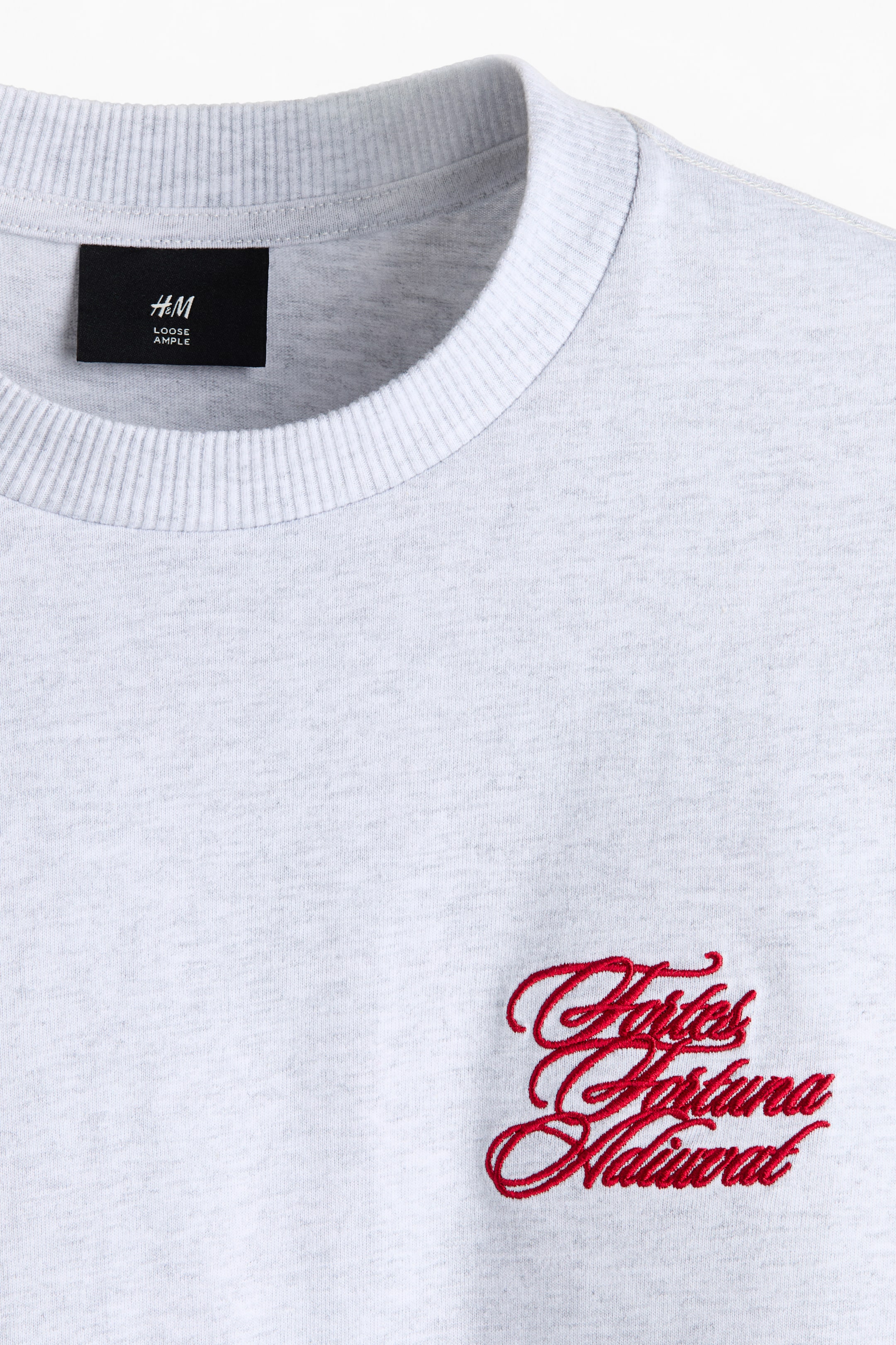 View larger image: Loose-Fit T-Shirt - Gray melange/Fortes Fortuna - Men | H&M US 6