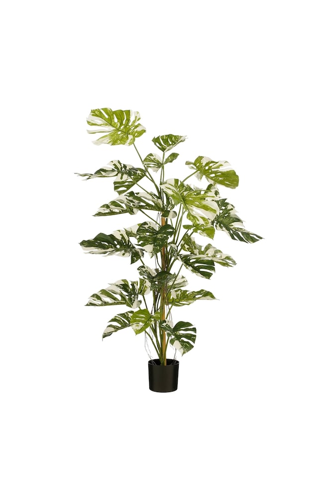 Planta Artificial De Monstera - - - 1