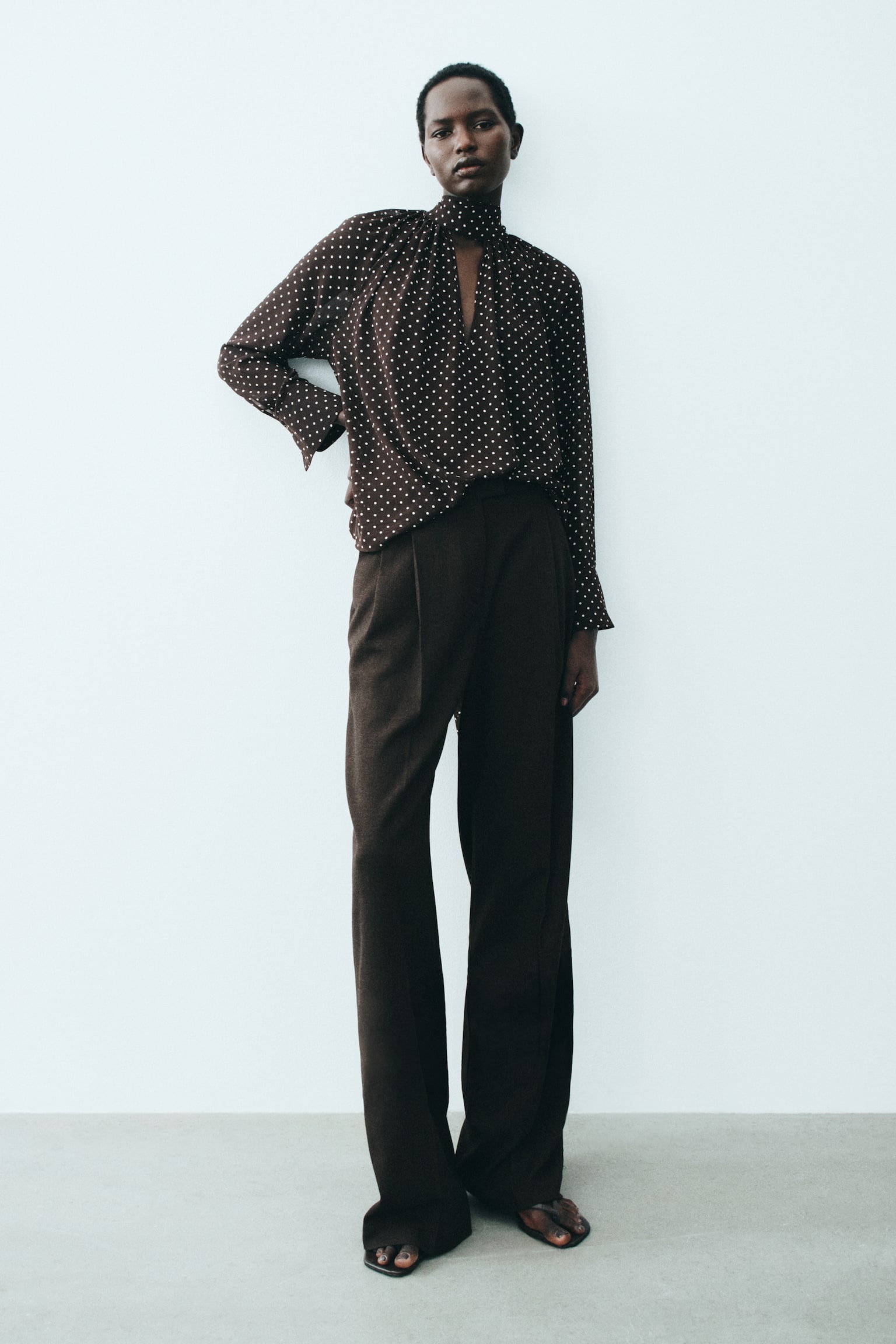 Scarf-collar blouse - Dark brown/Polka dot - 6