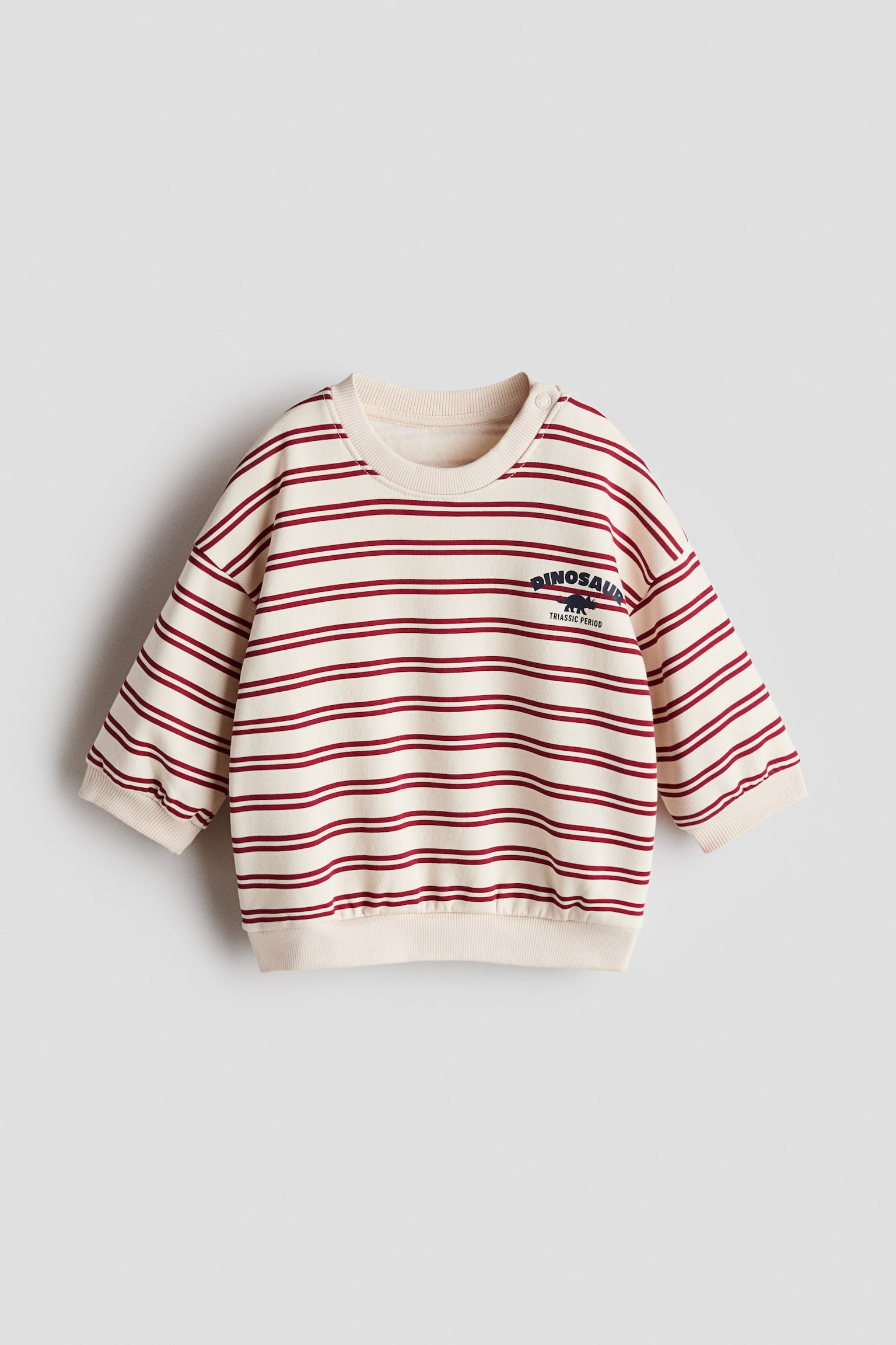 Baskılı Sweatshirt - Açık bej/Dinozor/Açık yeşil/Dinozor/Açık gri/Dinozorlar/Açık kahverengi/1975