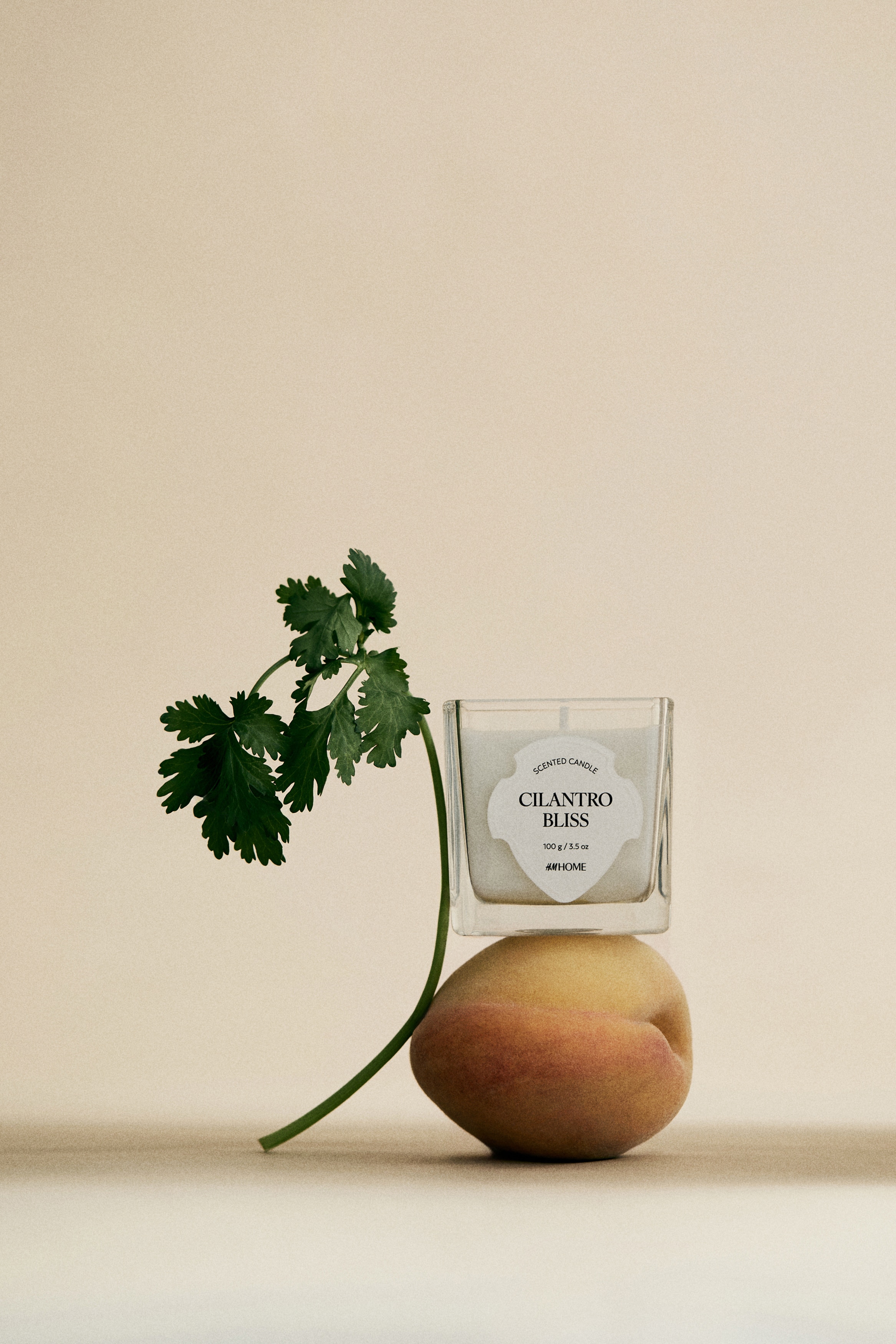 Petite bougie parfumée dans un pot en verre - Cilantro Bliss/Oud Mémoire/Winter Spices/Yuzu Blossom/Untamed Rose