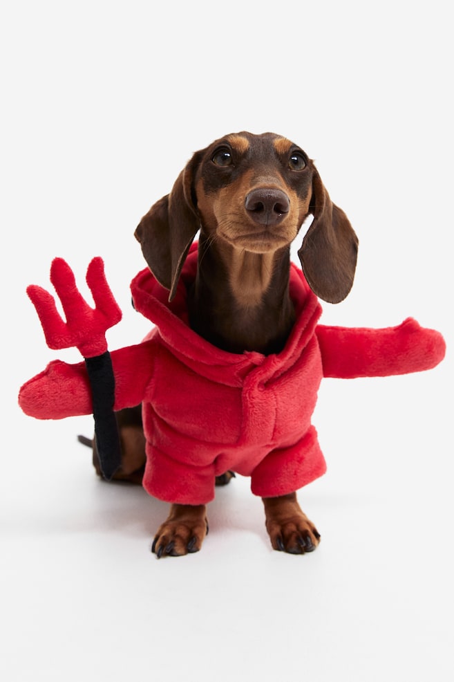 Costume per cani - Rosso/diavolo - 1