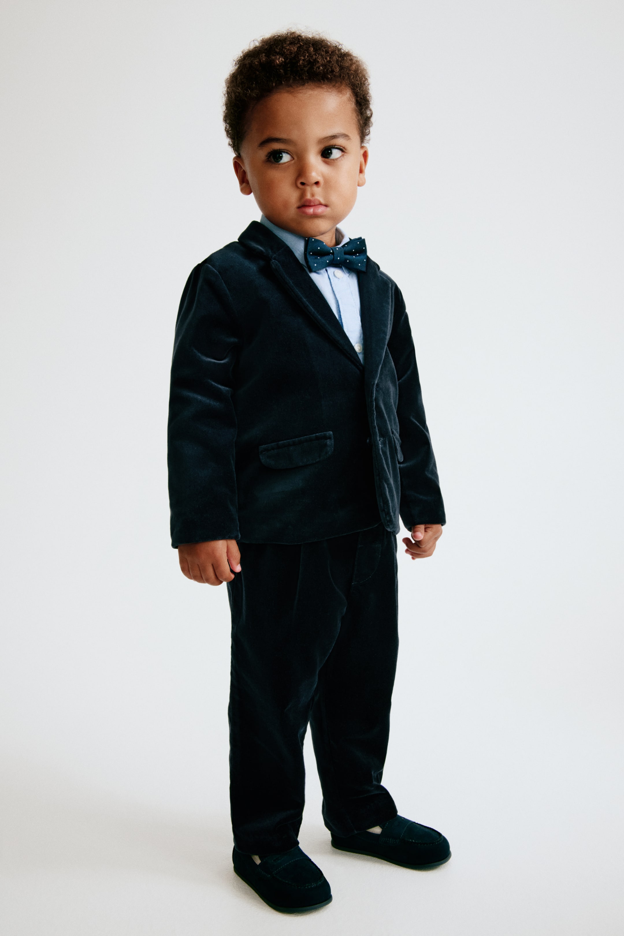 Ampliar la imagen: Un niño luce pantalones de vestir de terciopelo de algodón oscuro en una vista frontal de tres cuartos, mostrando un corte recto y una textura suave. Los pantalones se combinan con un blazer de terciopelo a juego, una camisa azul claro con cuello y una corbata de moño, además de mocasines oscuros.