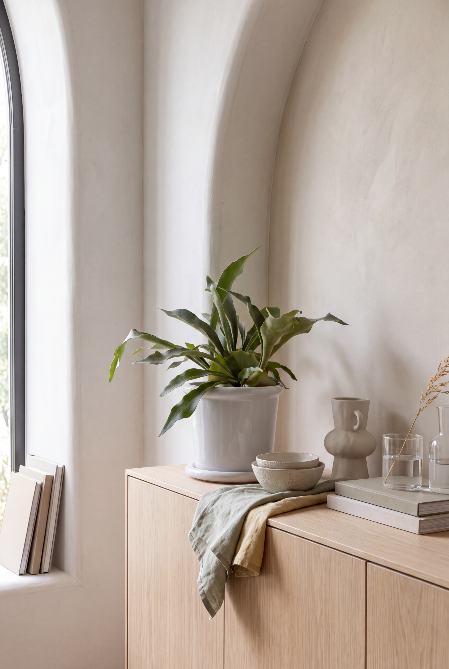 Una pianta verde con fogliame e foglie allungate e ondulate è collocata in un vaso in ceramica lucida color grigio chiaro, con piattino abbinato, ripresa frontalmente da un’angolazione diretta.
