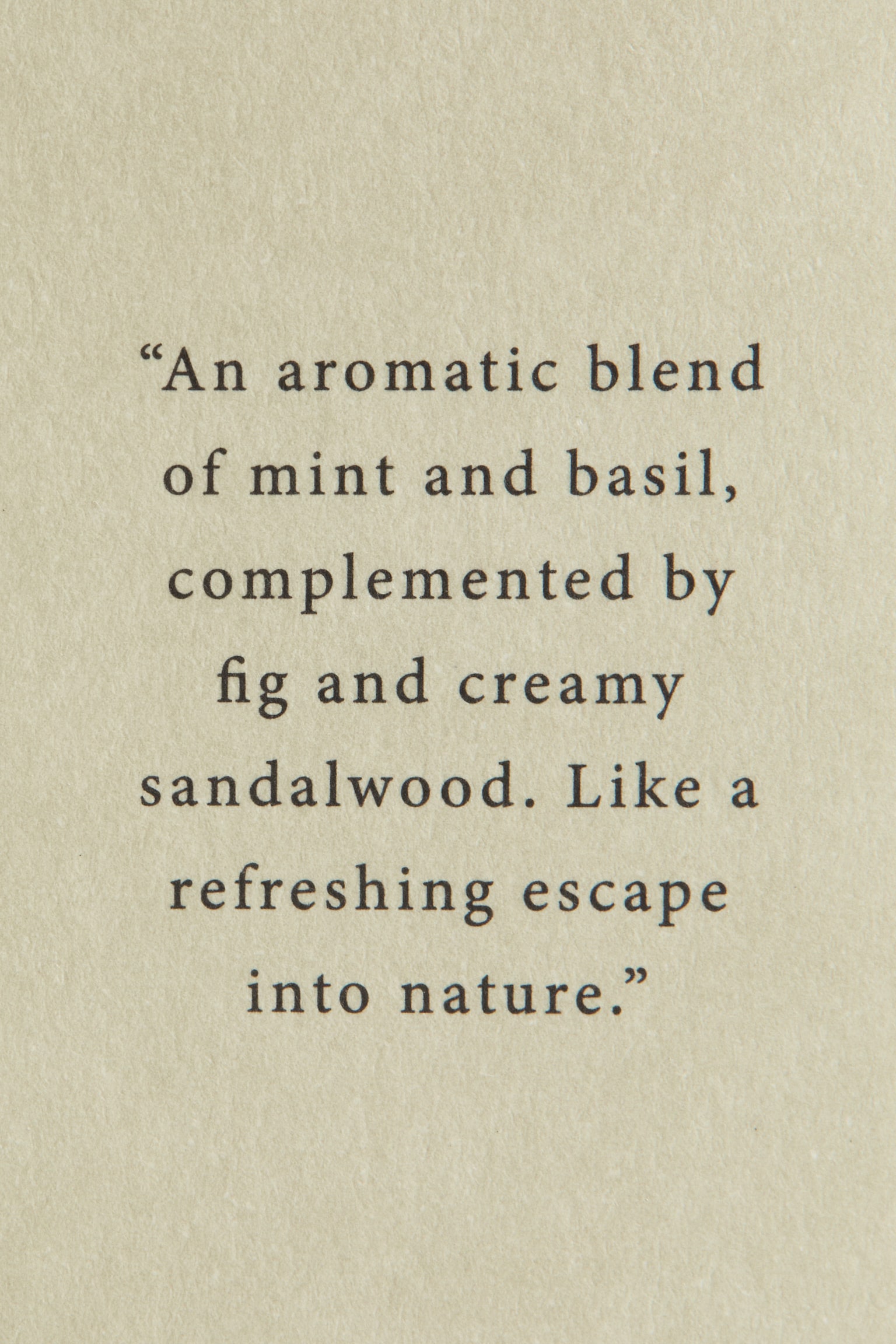 Reed diffuser - Minted Fig/Vanilla Patchouli/Eucalyptus Mist/Lemon Verde/Sequoia Santal - 3