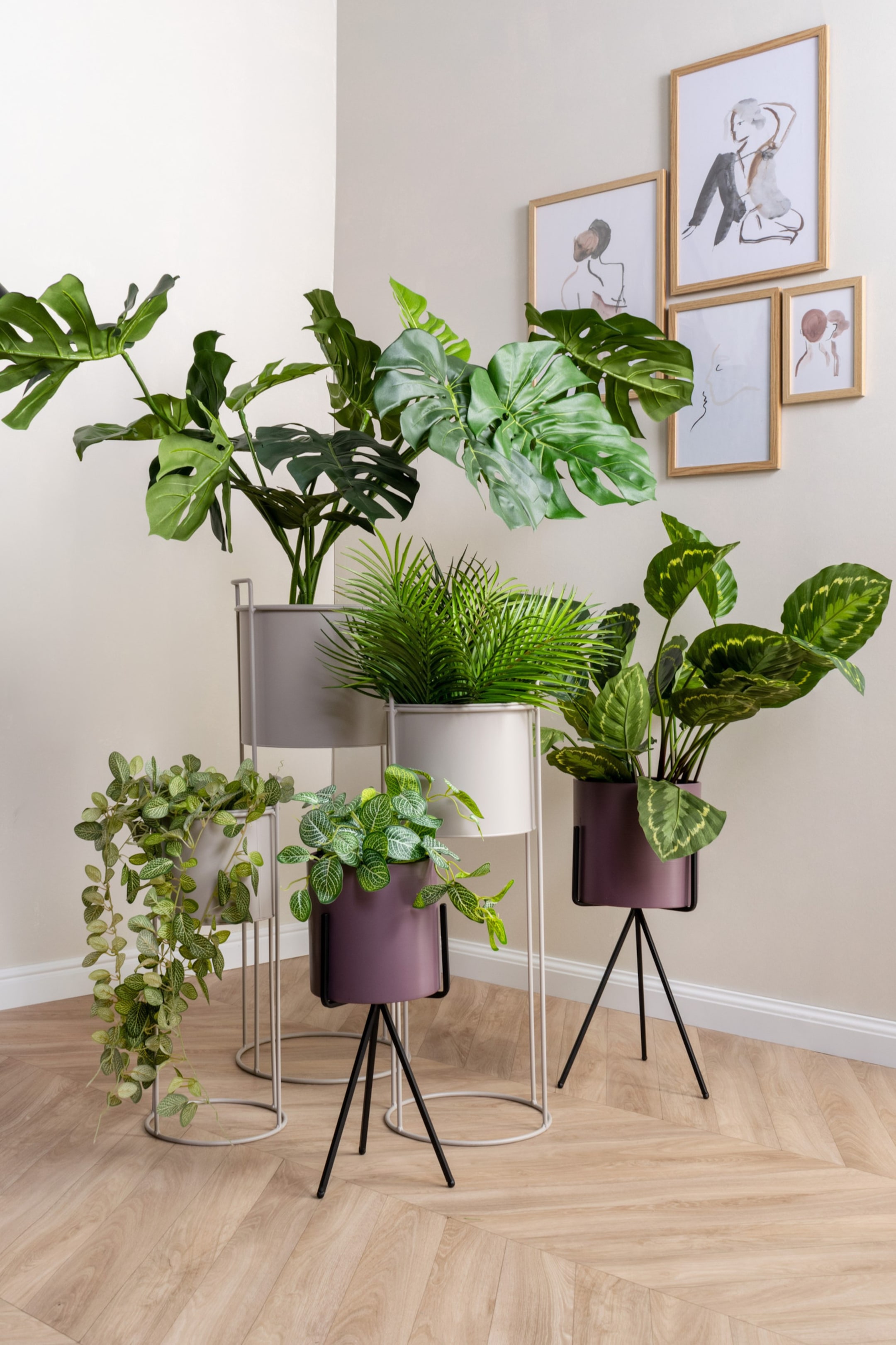 Agrandir l'image: Une collection de jardinières cylindriques modernes en gris clair, blanc et prune repose sur des supports métalliques trépieds élancés en gris clair et noir, toutes accueillant des plantes vertes.