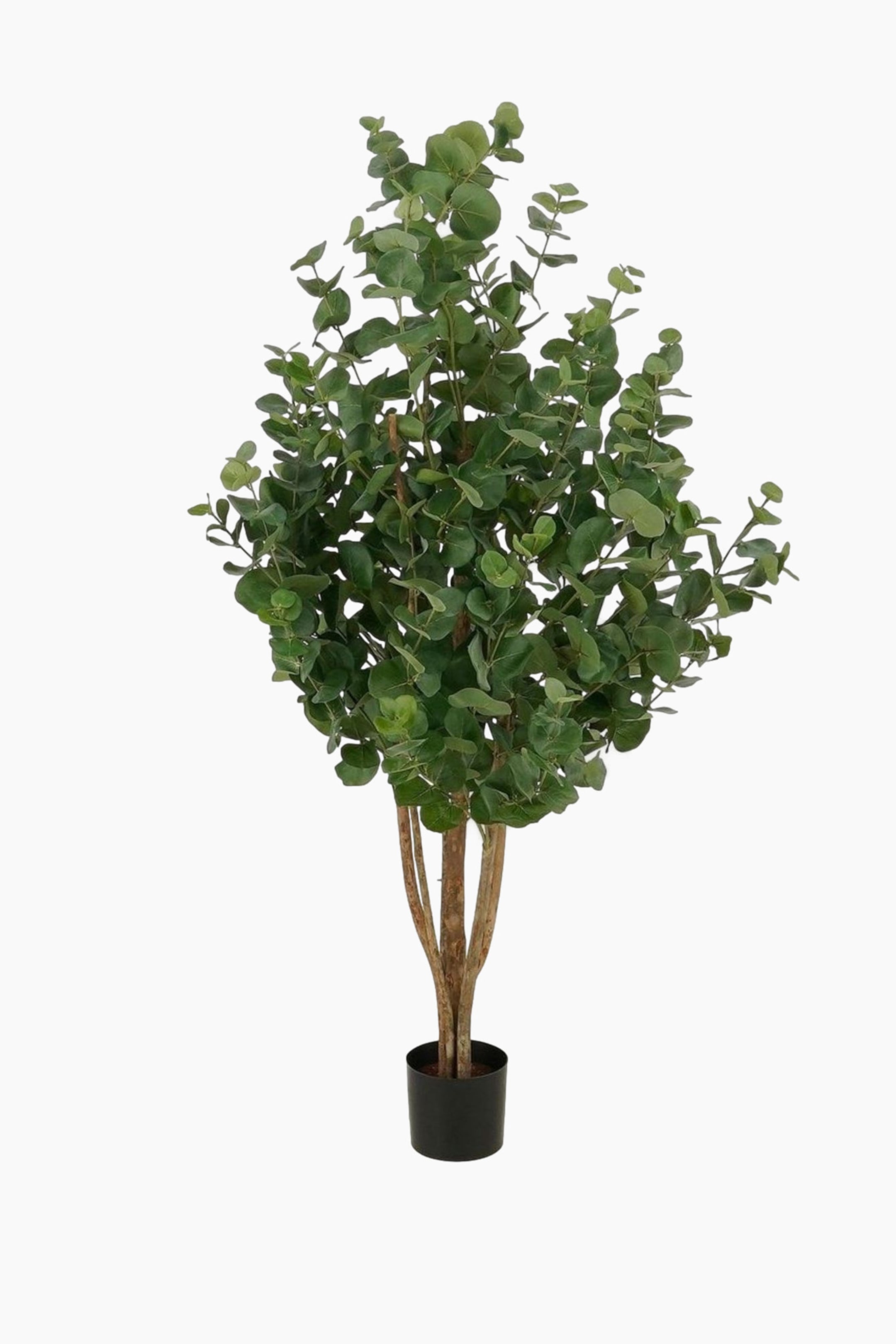 Se større billede: Eukalyptus Kunstig Plante - Grøn - Mica Decorations - Home All | H&M DK 1