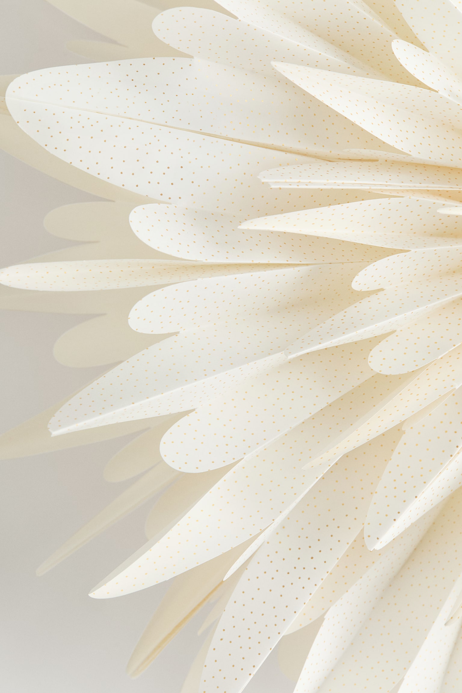 Leuchtstern aus Papier - Weiß/Gepunktet/Beige/Goldfarben gepunktet - 3