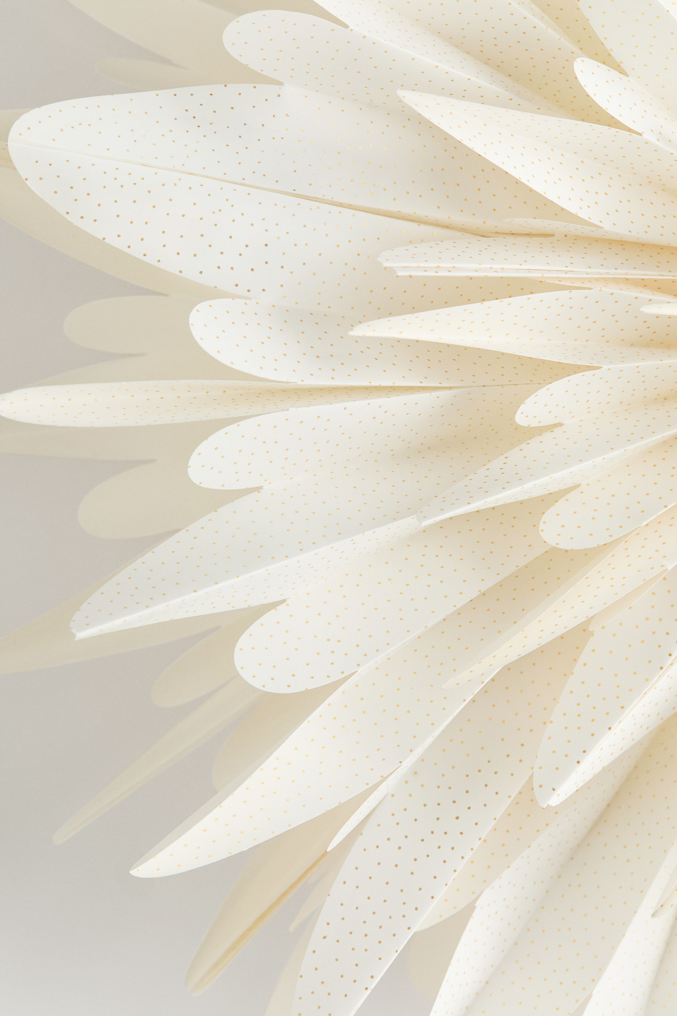 Se større billede: En papirskåret stjerne konstrueres af foldet og lagdelt papir, som danner et design, der minder om en fjeragtig snefnug. Dens individuelle lag har bløde, afrundede kanter og et mønster af små gyldne prikker.
