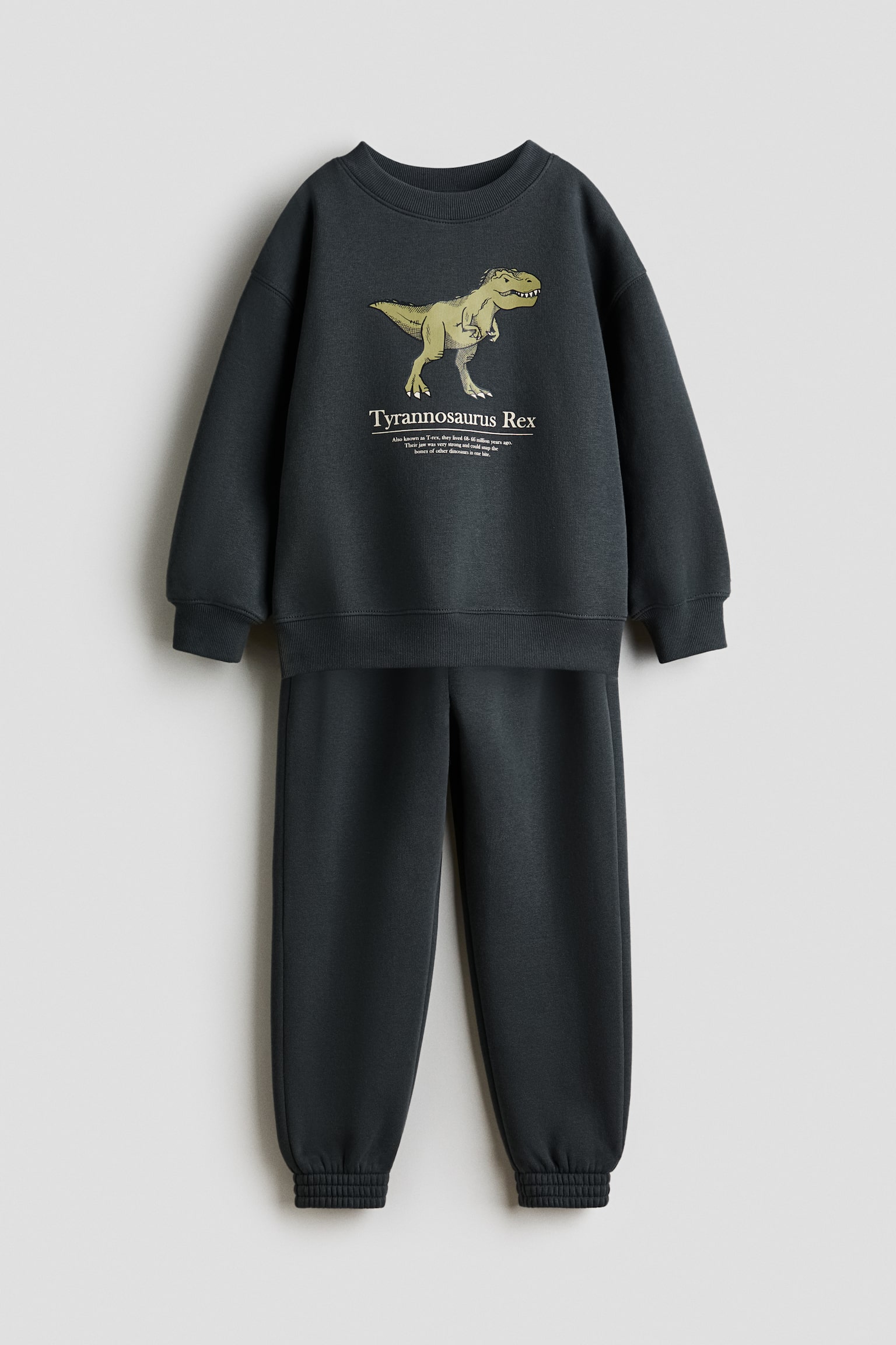 2-teiliges Set mit Sweatshirt und Joggpants - Dark grey/Dinosaur/Beige/Dunkelrot/94/Schwarz/NASA/Khakigrün/Tyrannosaurus Rex