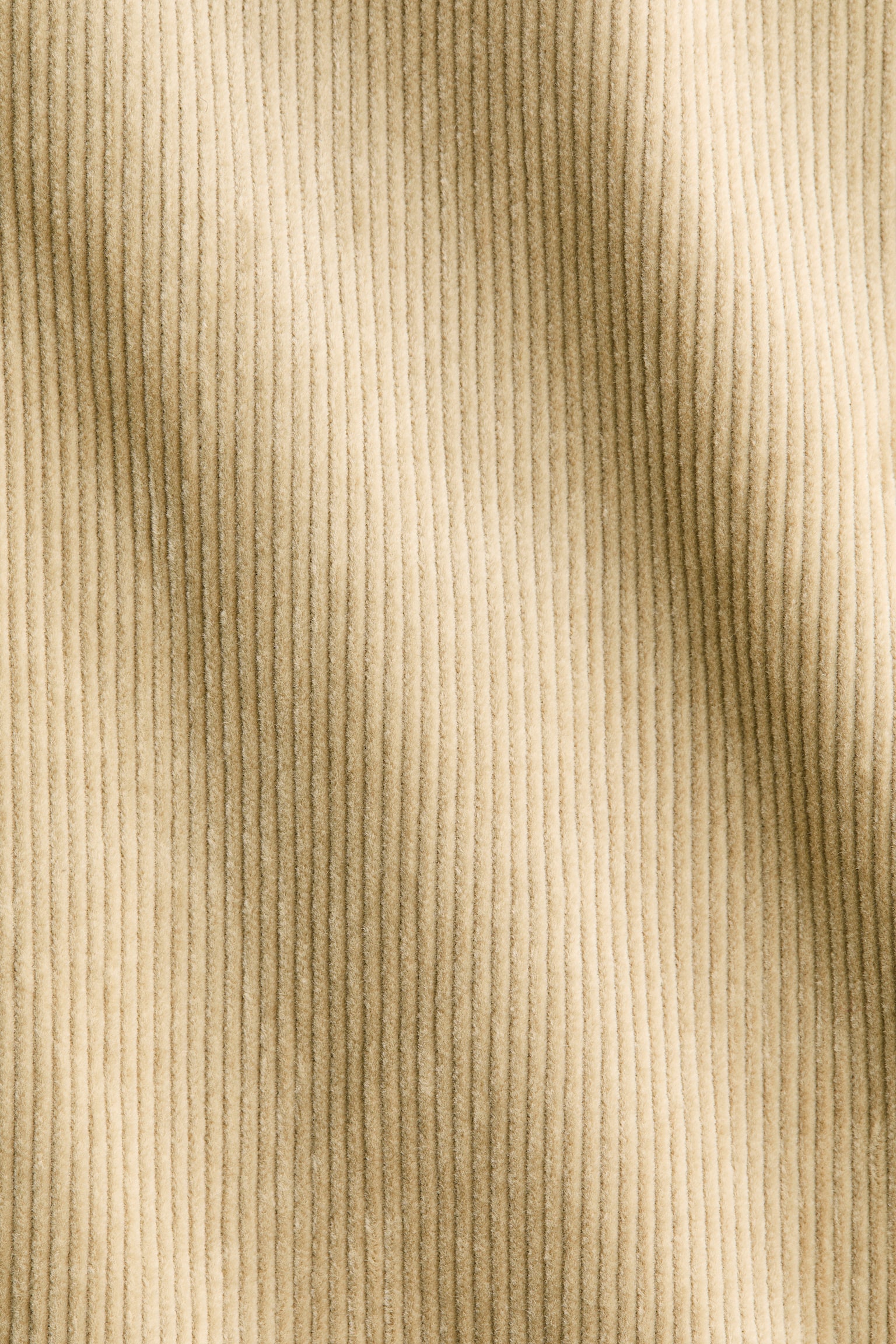 Bukser i fløjl Regular Fit - Beige/Mørkeblå - 8