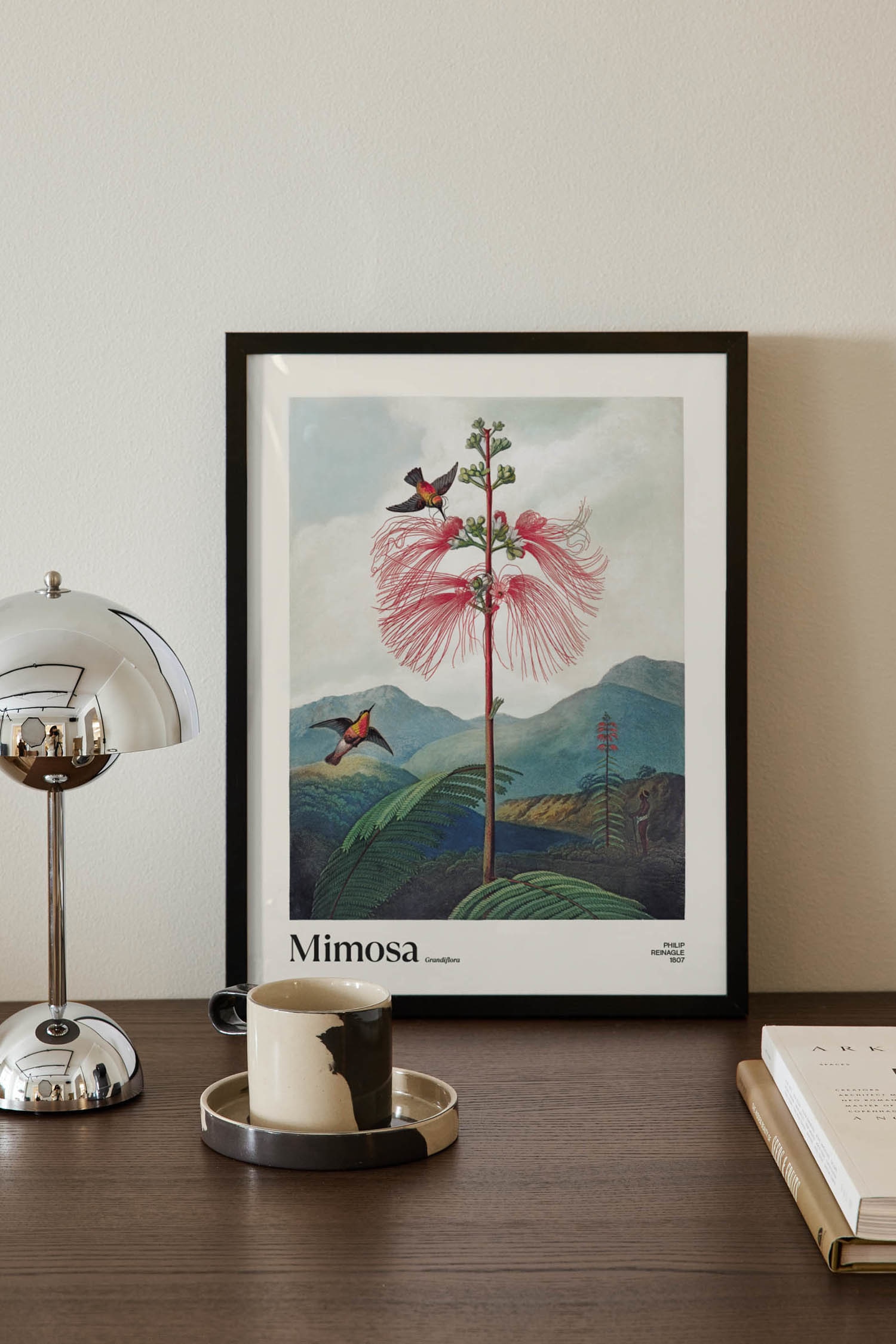Mimosa Grandiflora Poster - Grün/rosa