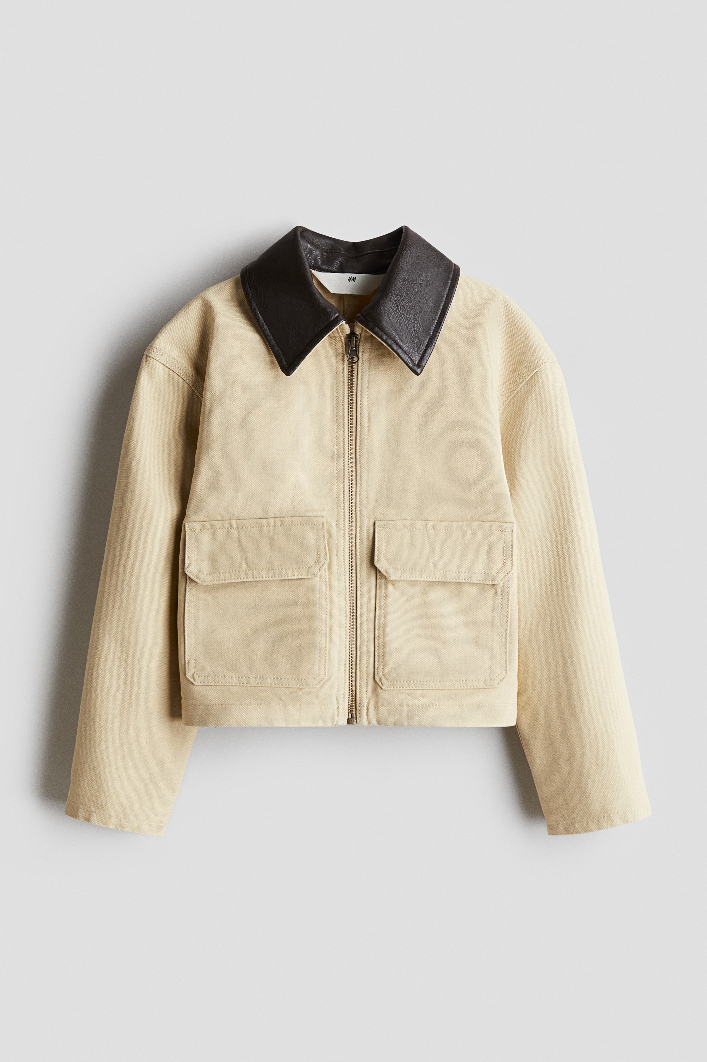 Jacke aus Baumwollcanvas - Hellbeige