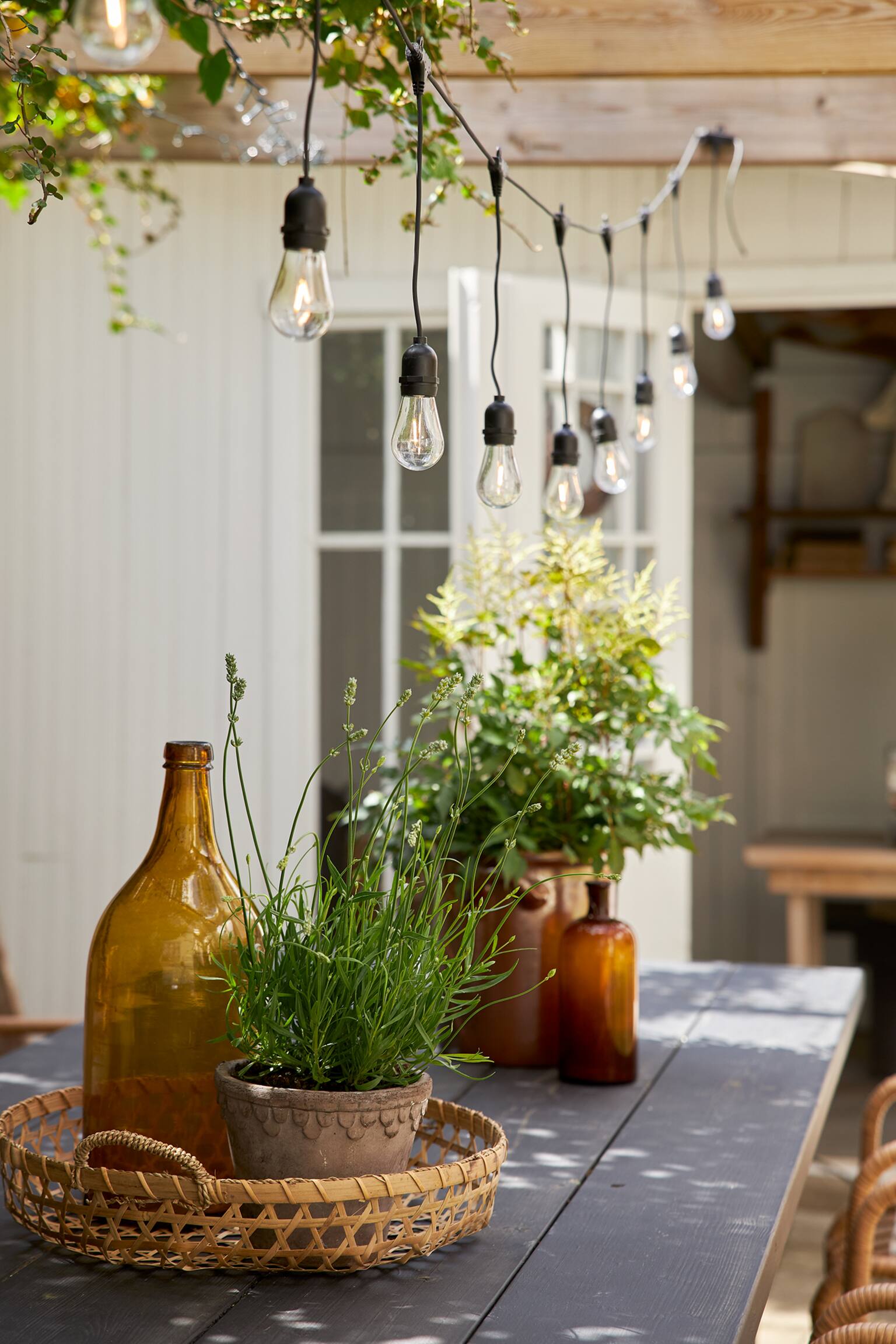 Lichterkette String Light 10 Led Indoor/outdoor - Transparent - 3