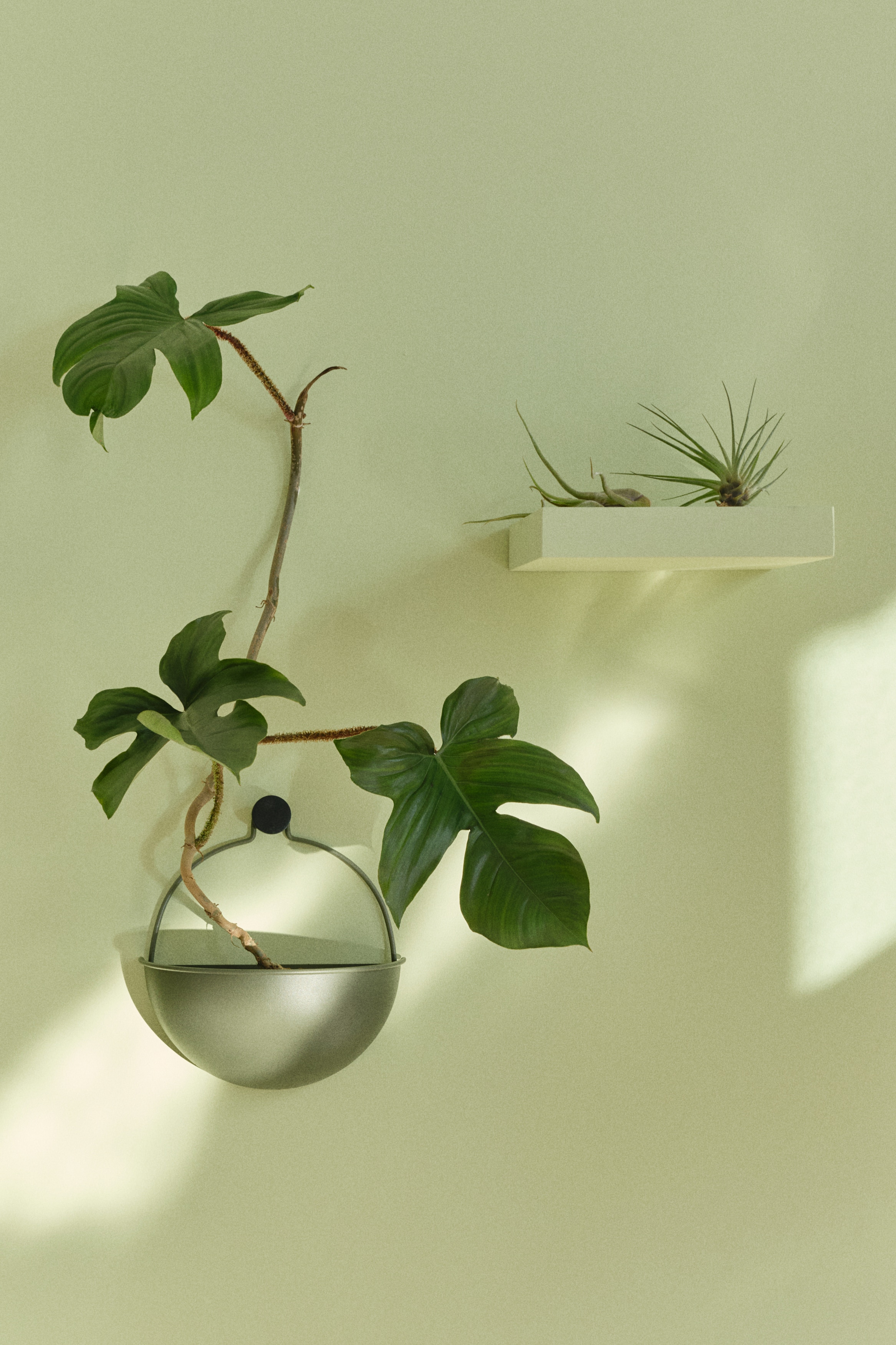Wandpot - Olijfgroen/Lichtbeige/Zwart