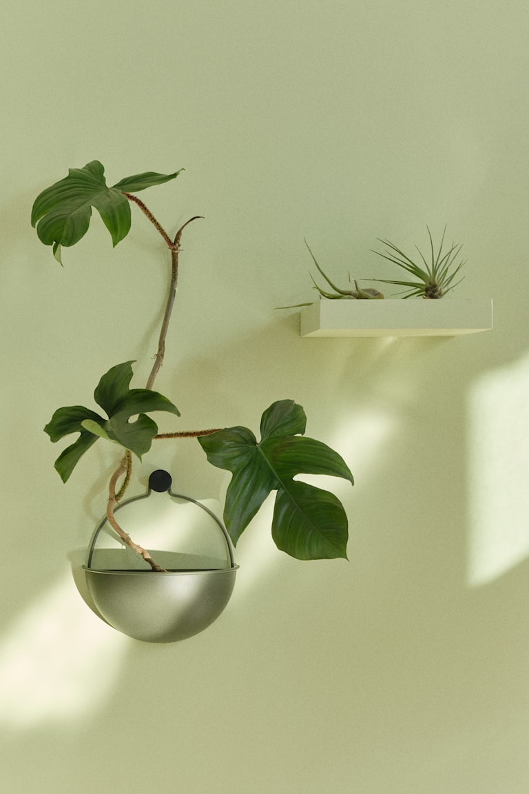 Wall-Mount Plant Pot - Olive green