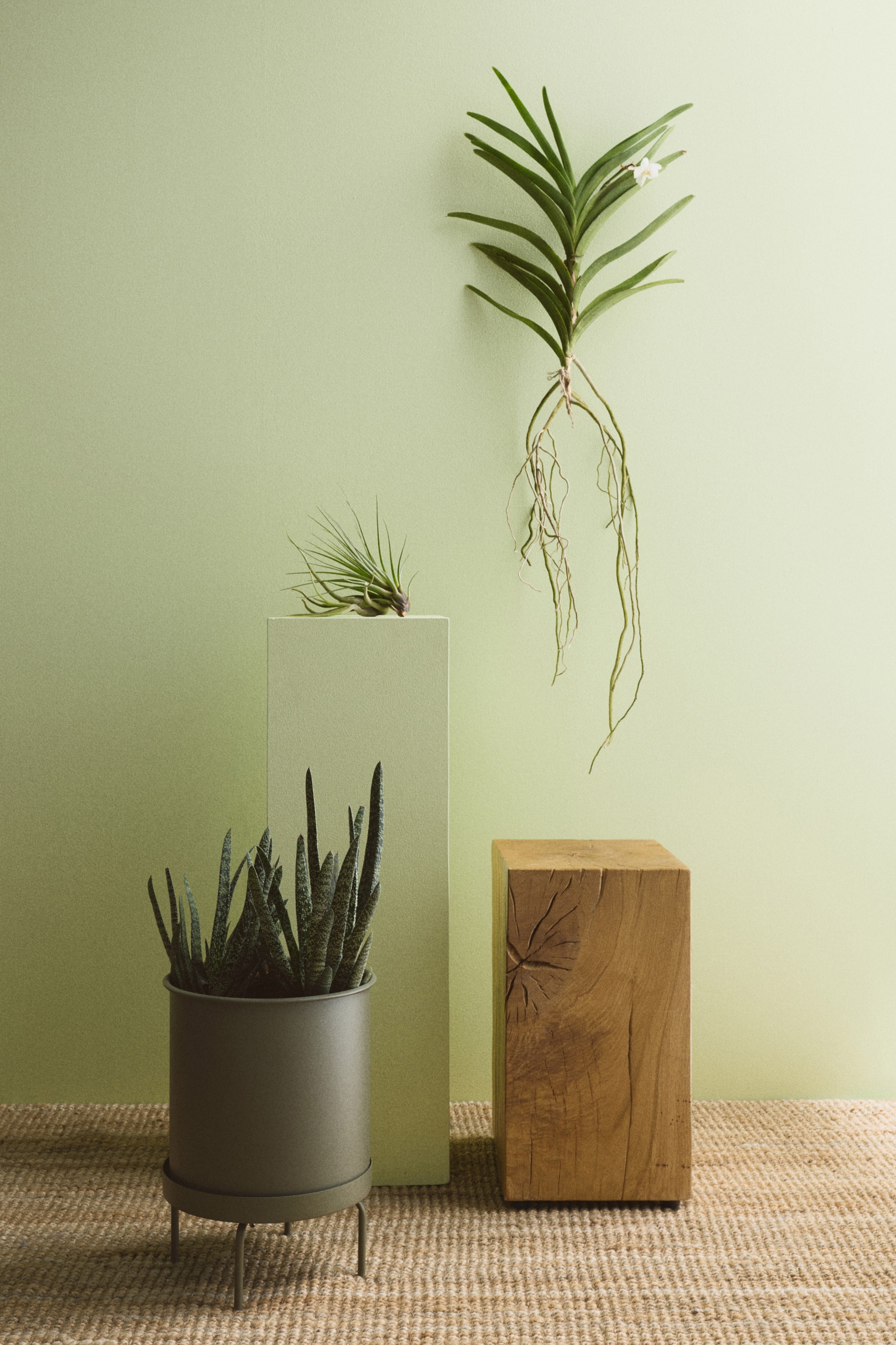 Zobraziť väčší obrázok: Veľký, valcovitý, tmavozeleno-šedý kovový kvetináč spočíva na svojom zodpovedajúcom stojane na rastliny. Stojan obsahuje tanierik a je podopretý tromi tenkými nohami.