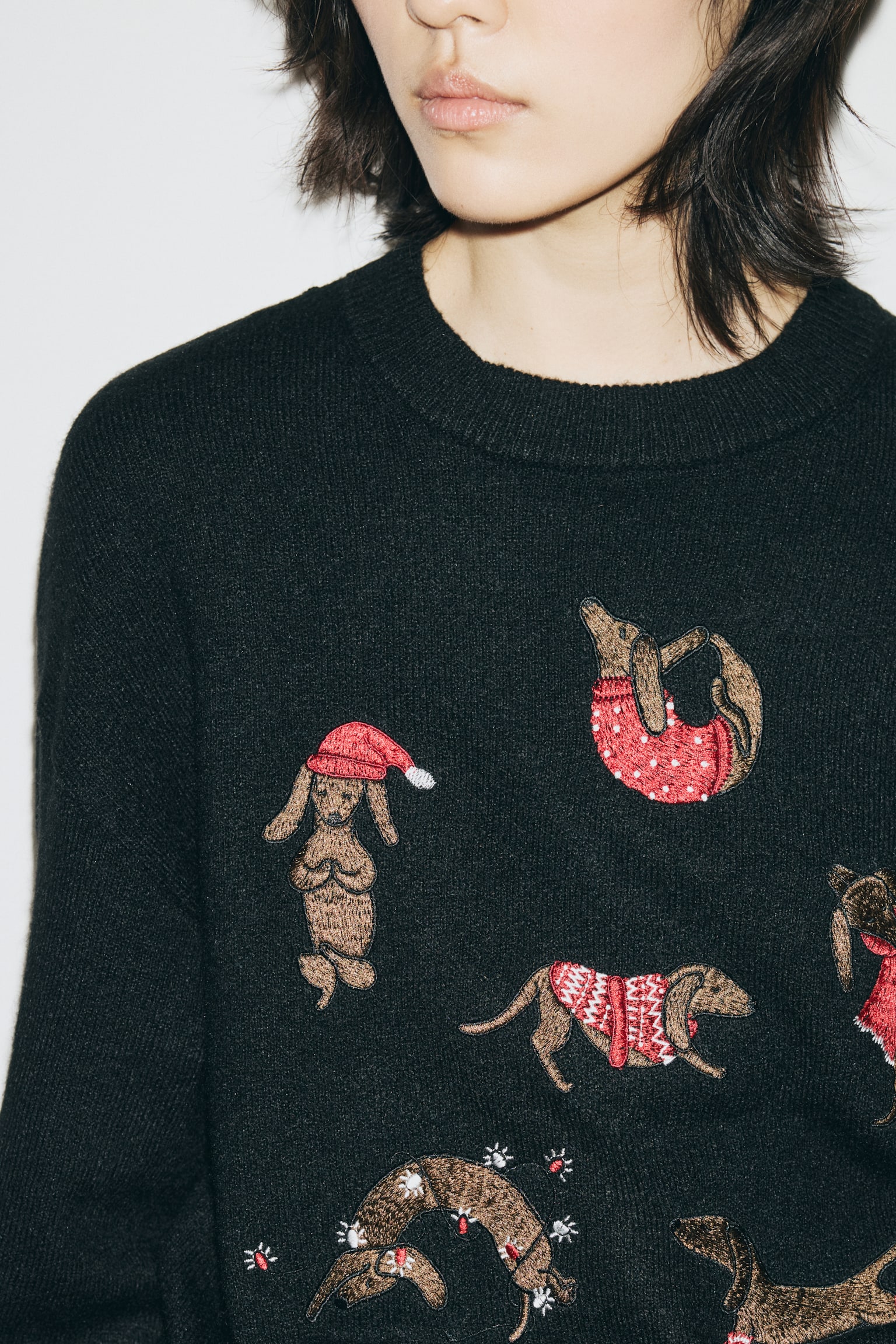 Embroidered jumper - Black/Dogs - 5