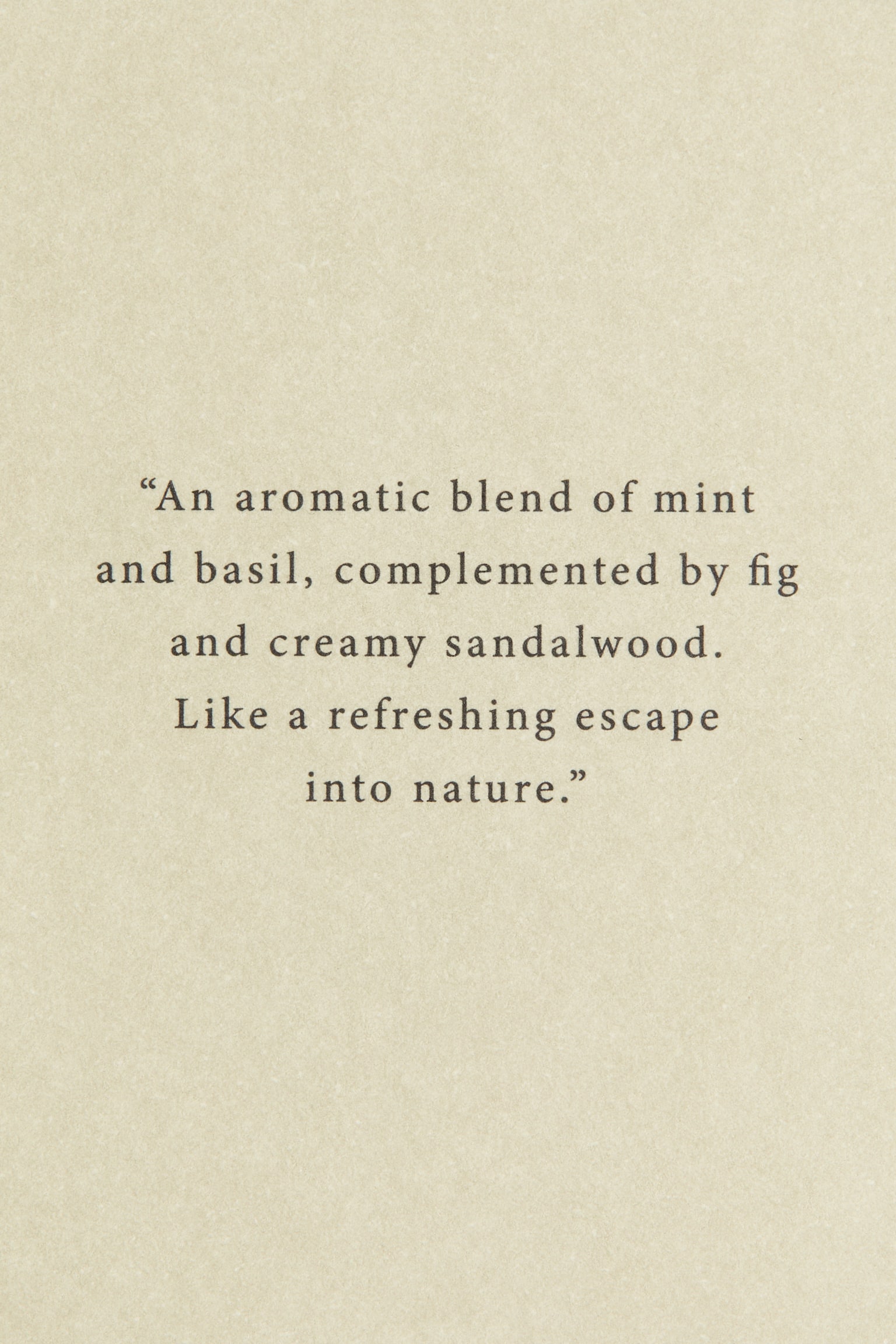 Scented candle in a glass holder - Minted Fig/Vanilla Patchouli/Sequoia Santal/Lemon Verde/Eucalyptus Mist - 5