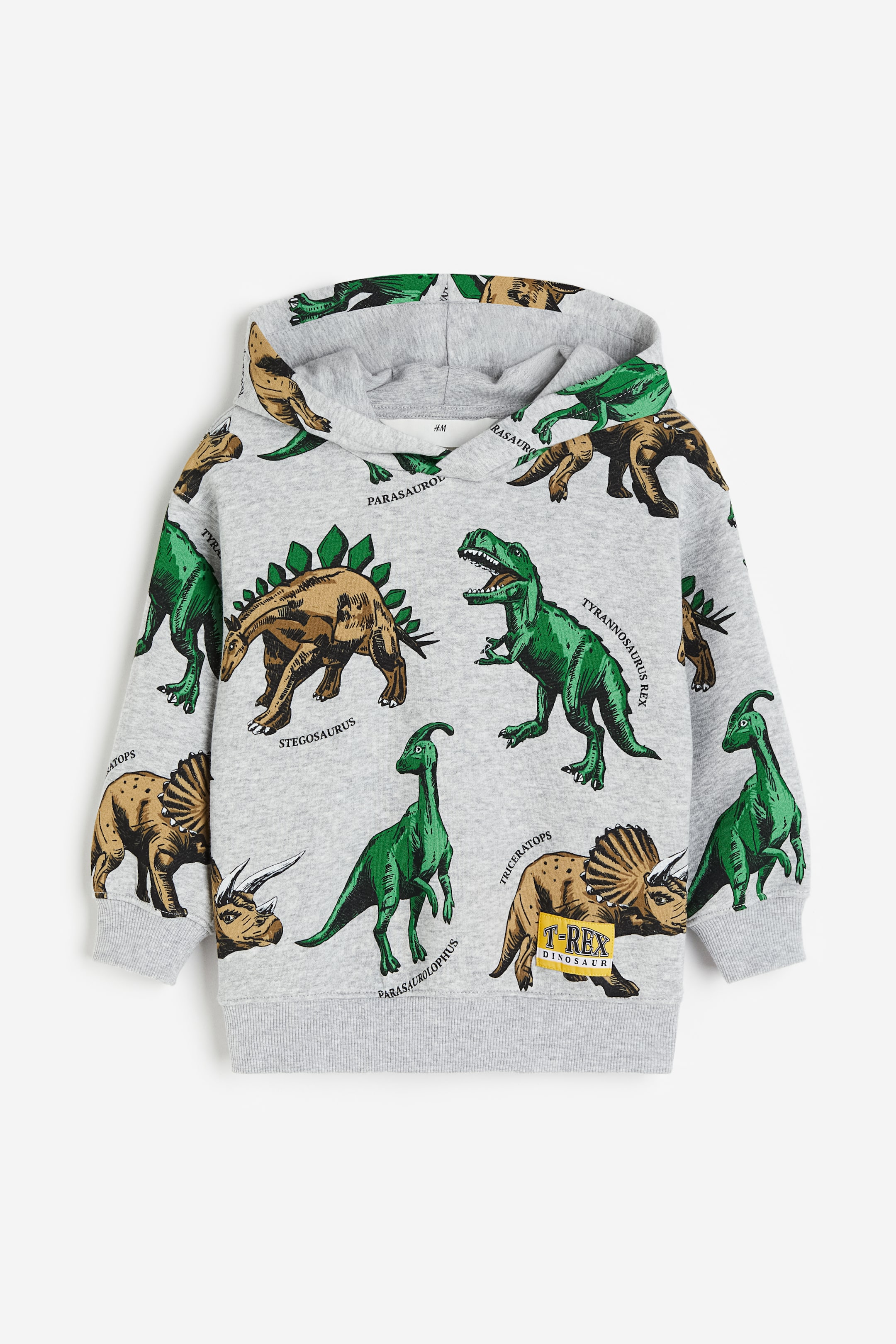 Printed Hoodie - Light gray/dinosaurs - Kids | H&M US