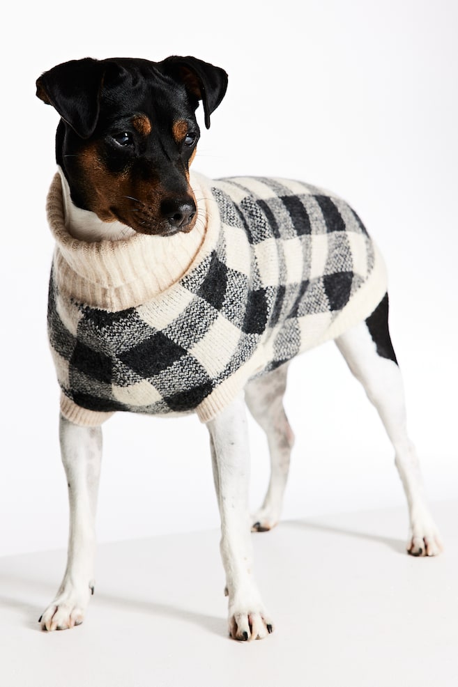 Jacquard-knit dog jumper - Beige/Checked - 1