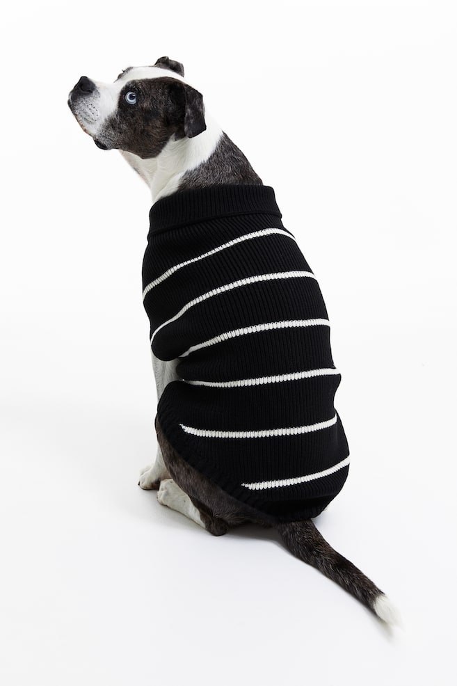 Rib-knit dog jumper - Black/Striped/Light blue/Striped - 3