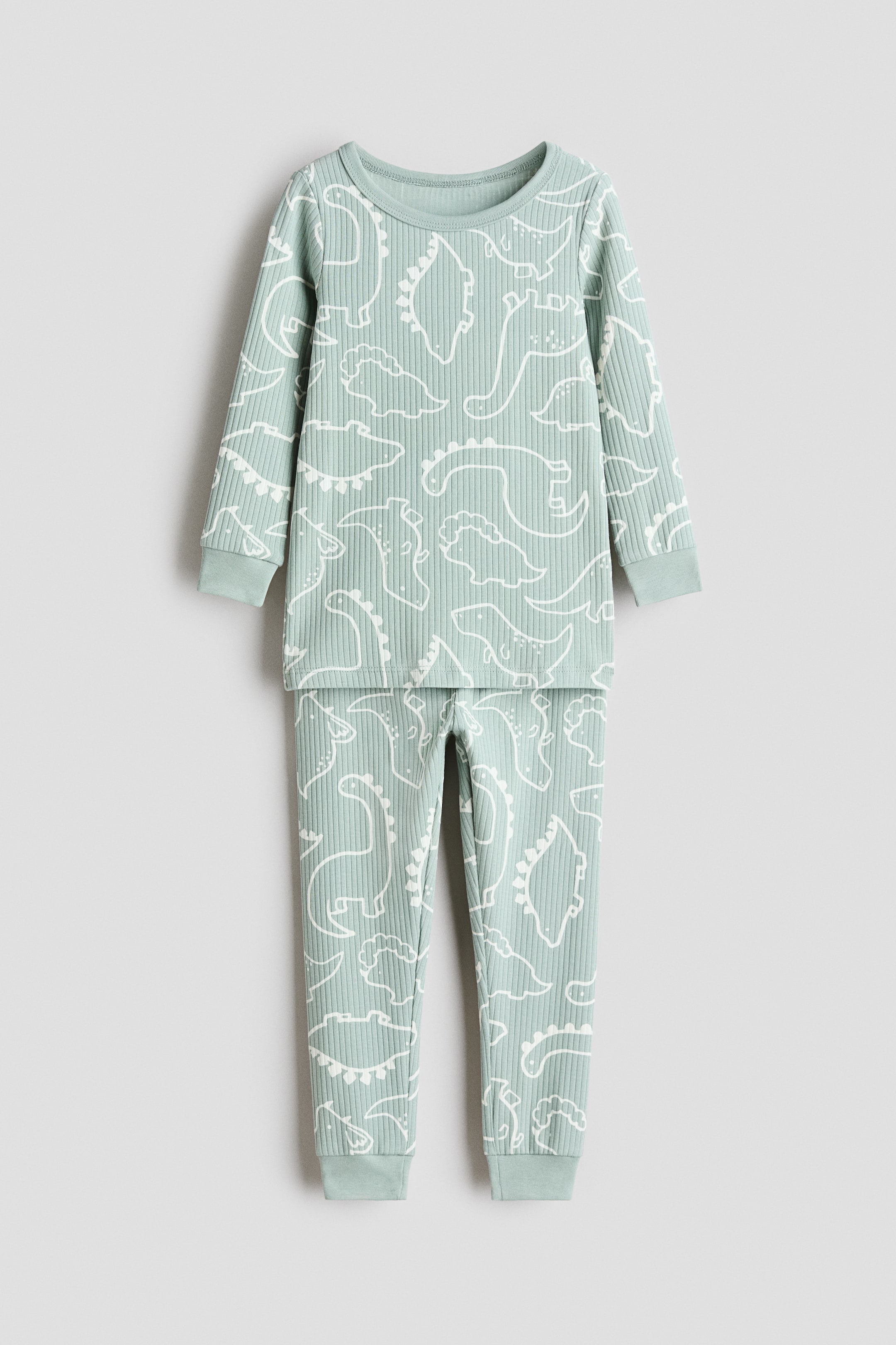 View larger image: A mint-green, ribbed two-piece pajama set shown from the front, featuring an all-over white dinosaur outline print. The long-sleeved top features a round neck and ribbed cuffs, and the matching long pants feature ribbed ankle cuffs.