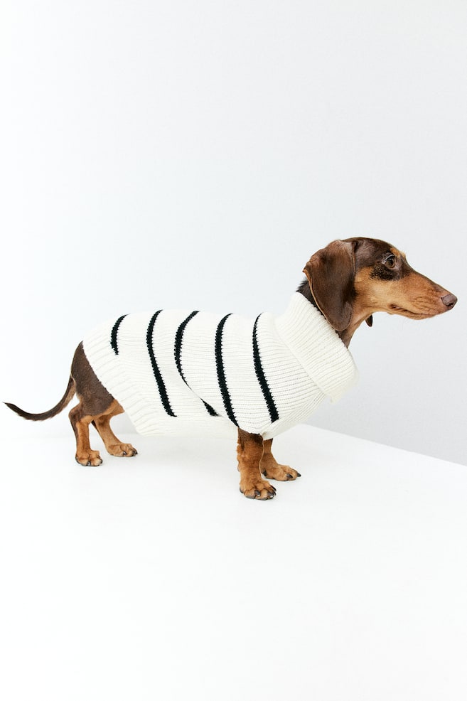 Rib-knit dog jumper - White/Striped/Light blue/Striped/Black/Striped - 1