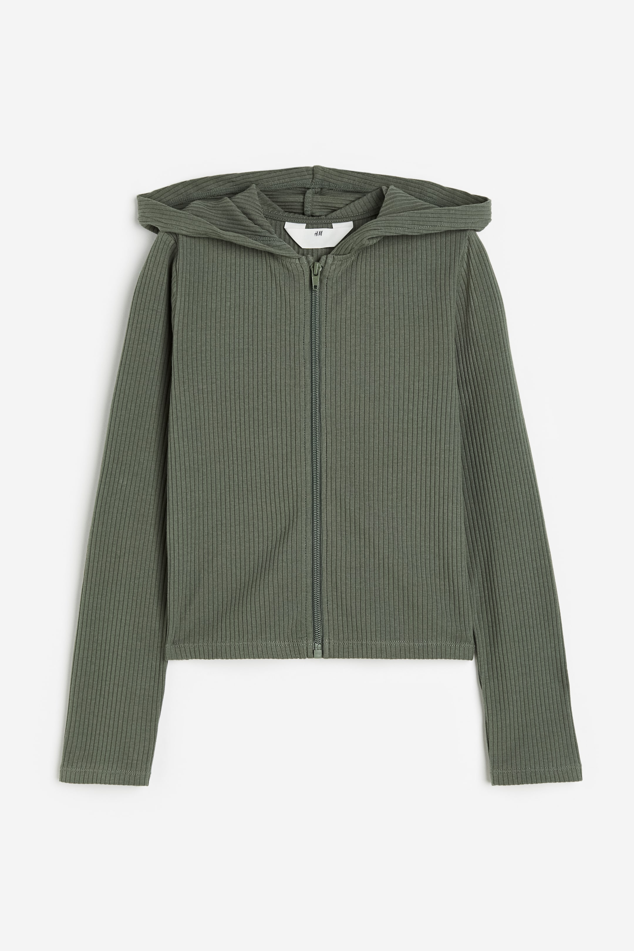 Ribbed Hooded Jacket