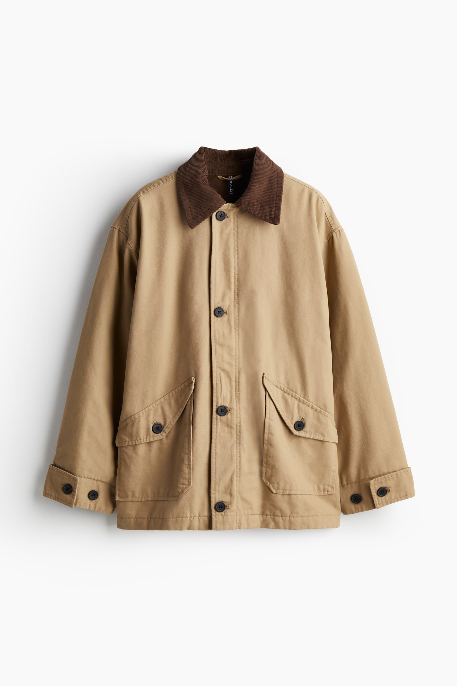 Oversized canvas jacket - Beige/Khaki green - 2