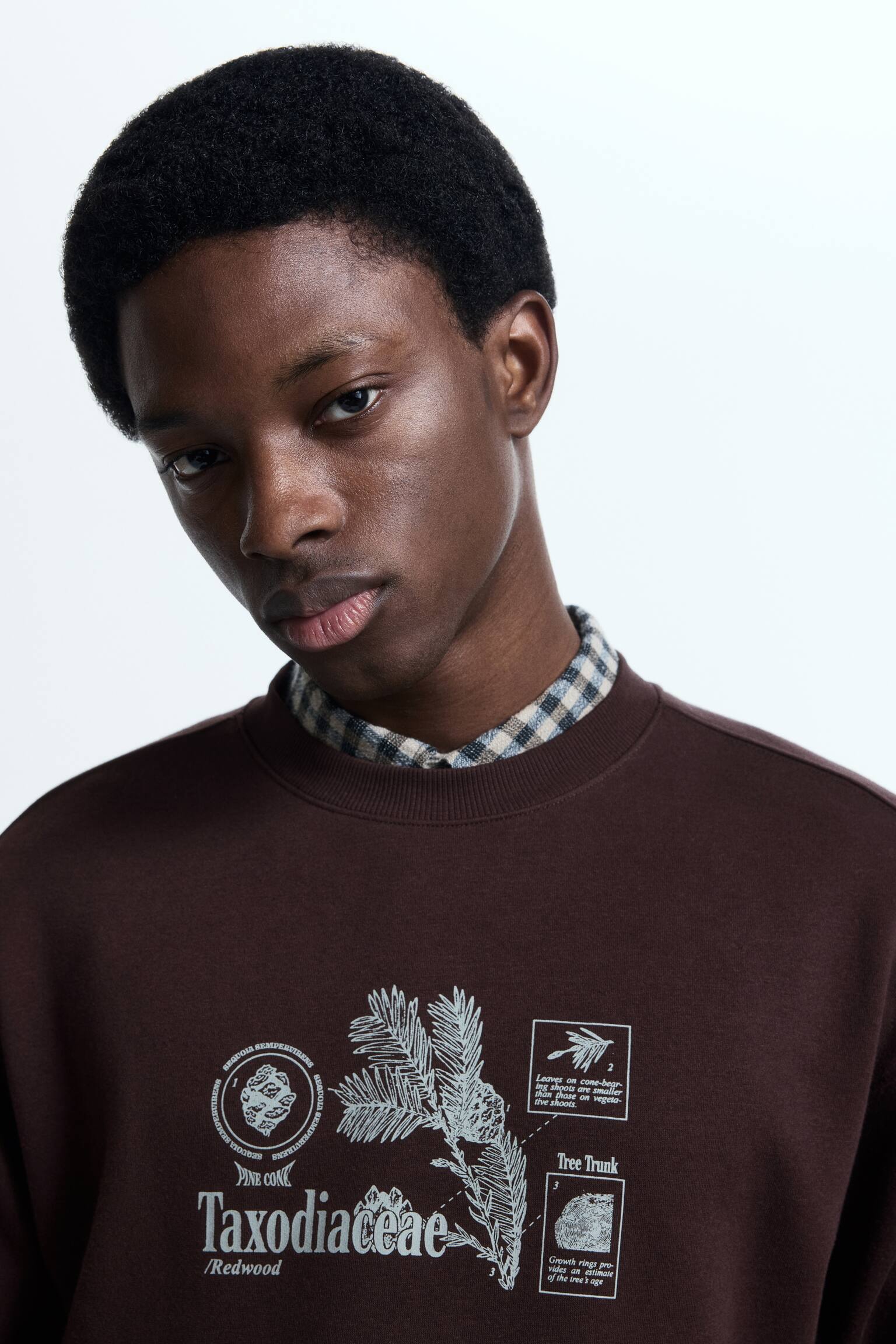 Nyomott mintás melegítőfelső Loose Fit - Sötétbarna/Taxodiaceae/Fehér/növények/Fekete/Karma Alarm/Fekete/Star MMX - 5