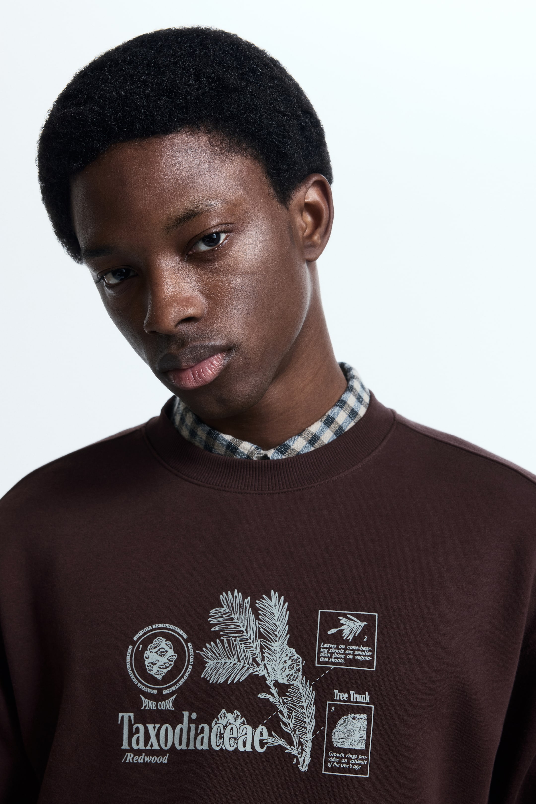 Se større billede: Sweatshirt med tryk Loose Fit - Mørkebrun/Taxodiaceae - HERRE | H&M DK 2