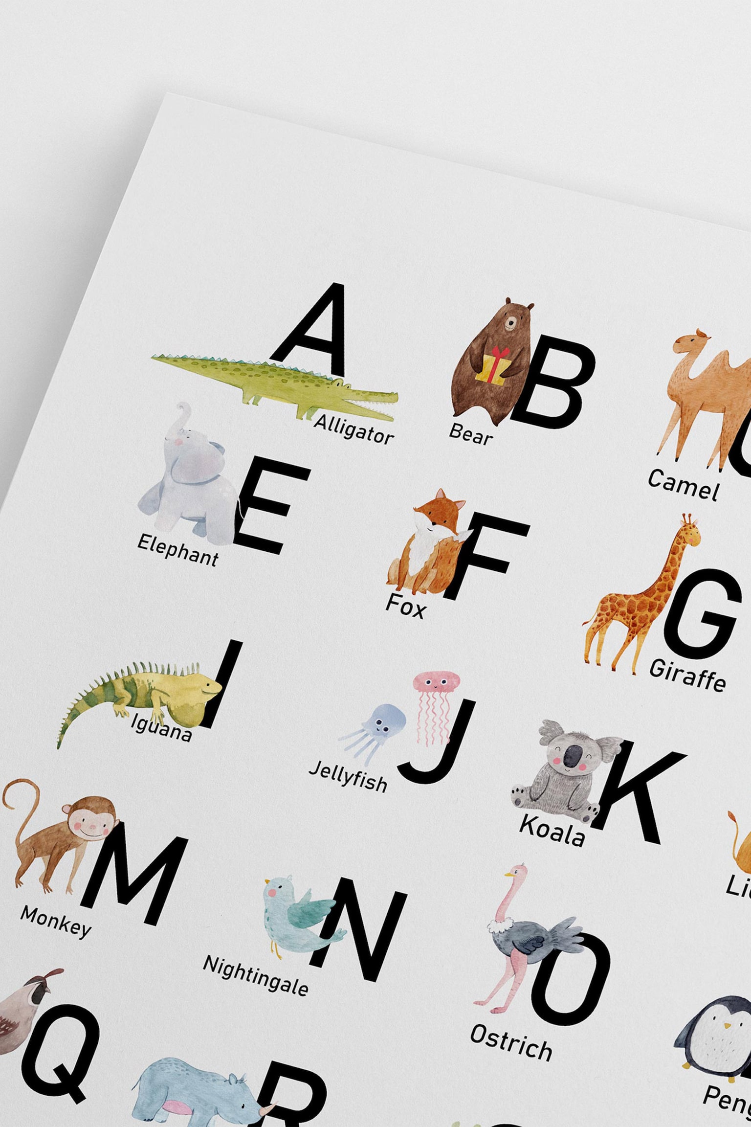 Animal Abc Poster - White/black - 2