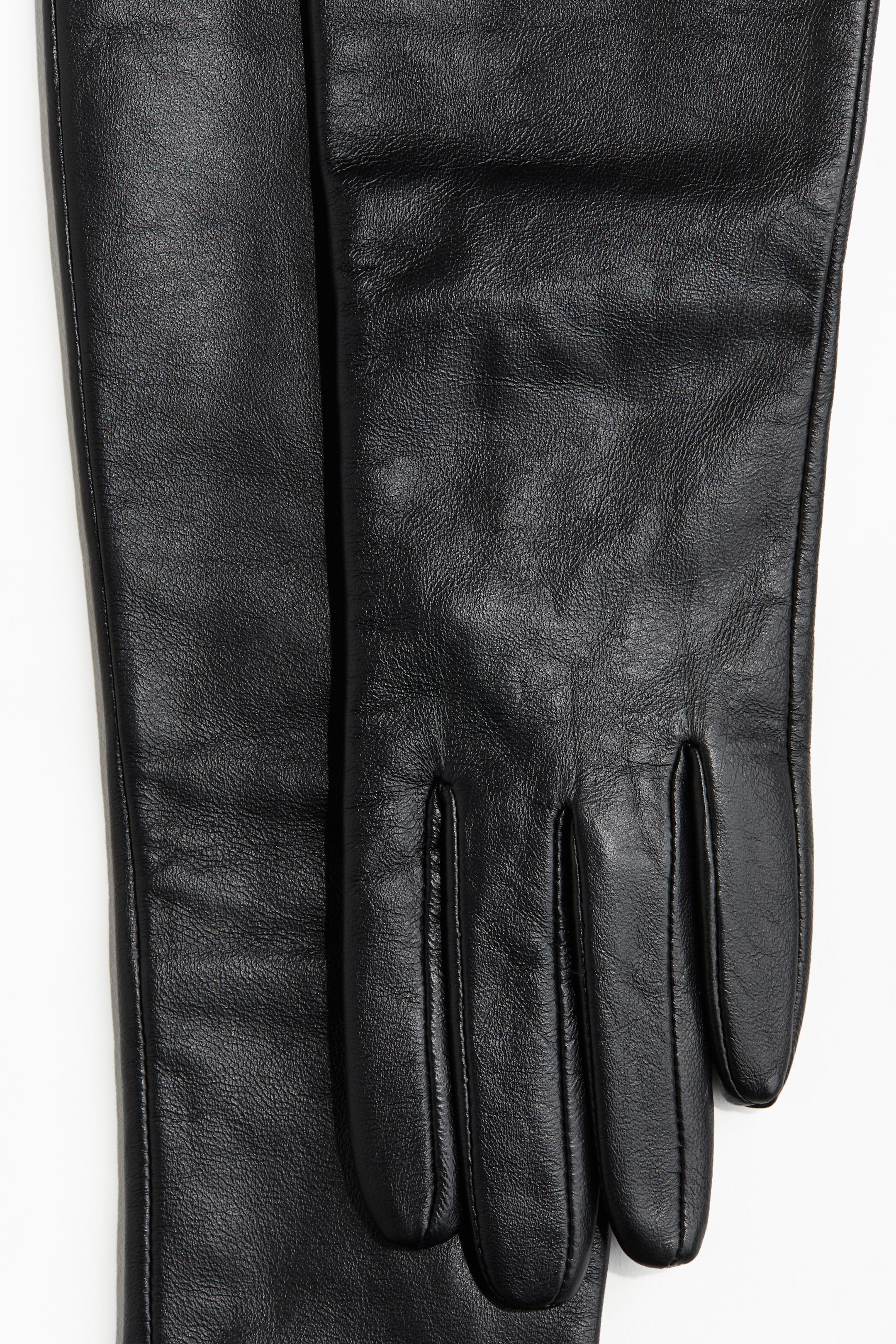 Long Leather Gloves