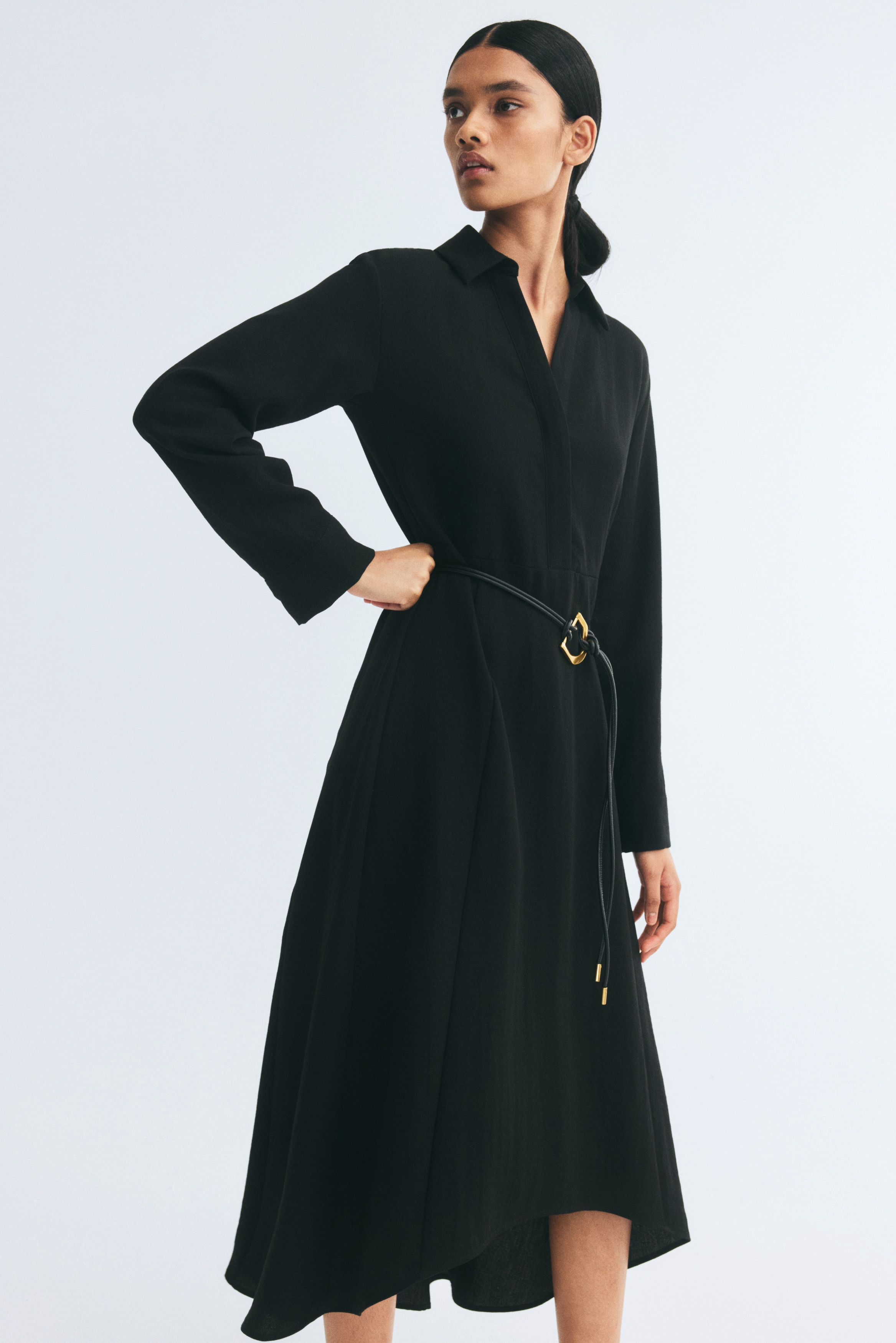 Flared Dress with Belt thumbnail 2