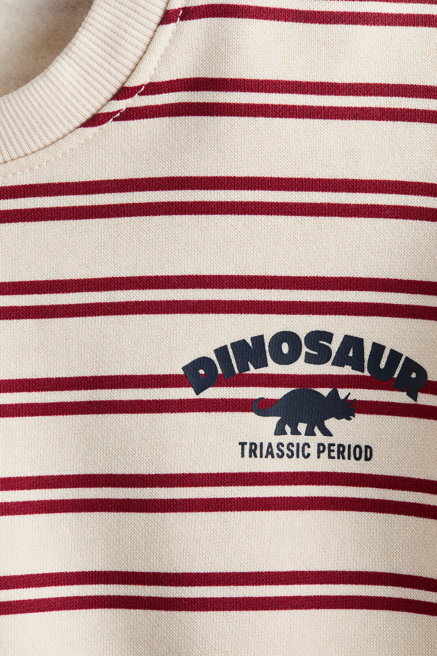 Printed sweatshirt - Light beige/Dinosaur/Light grey/Dinosaurs/Light green/Dinosaur/Cream/Cars/Light brown/1975/Green/Boston - 2