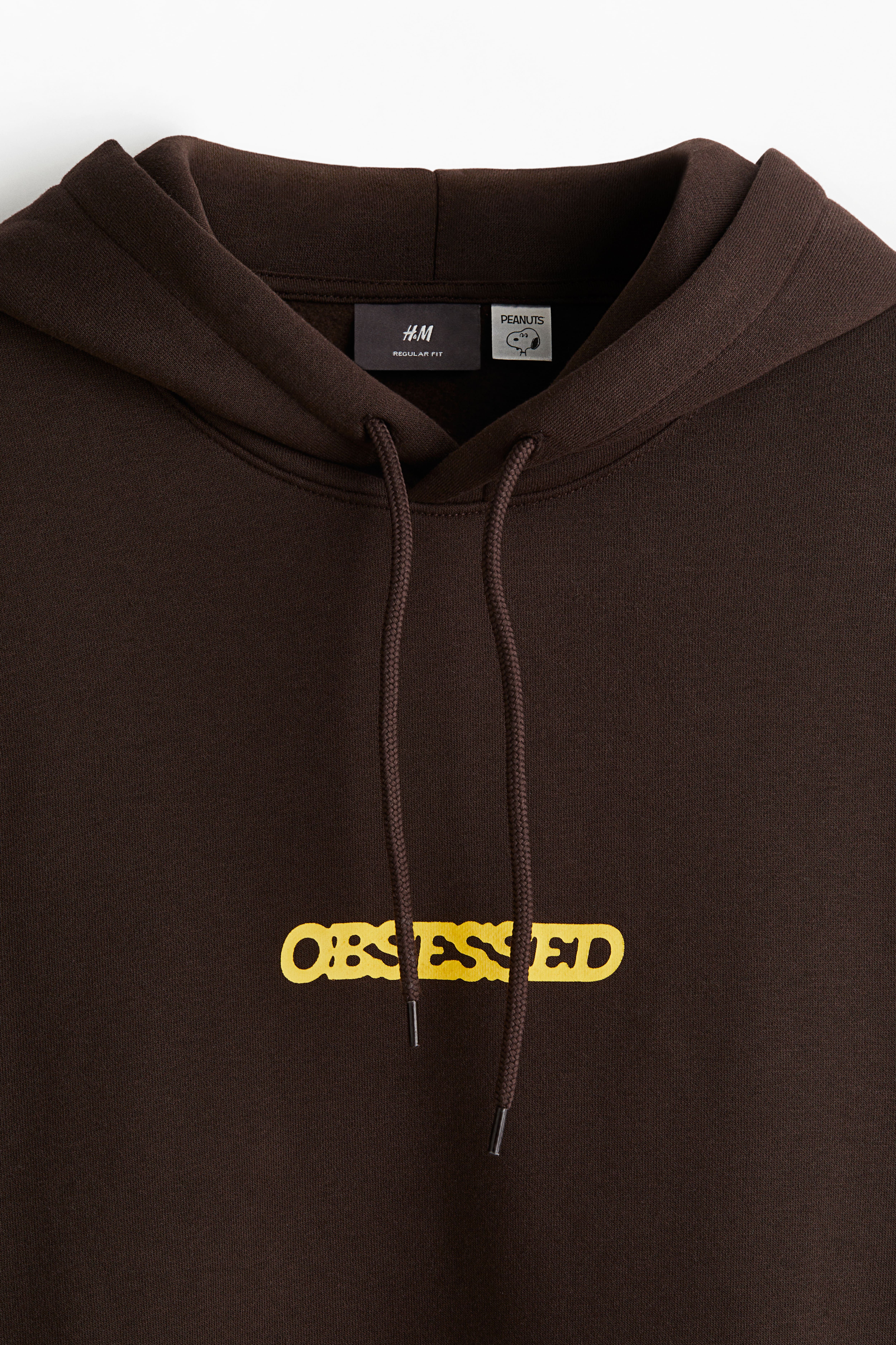 Regular Fit Hoodie