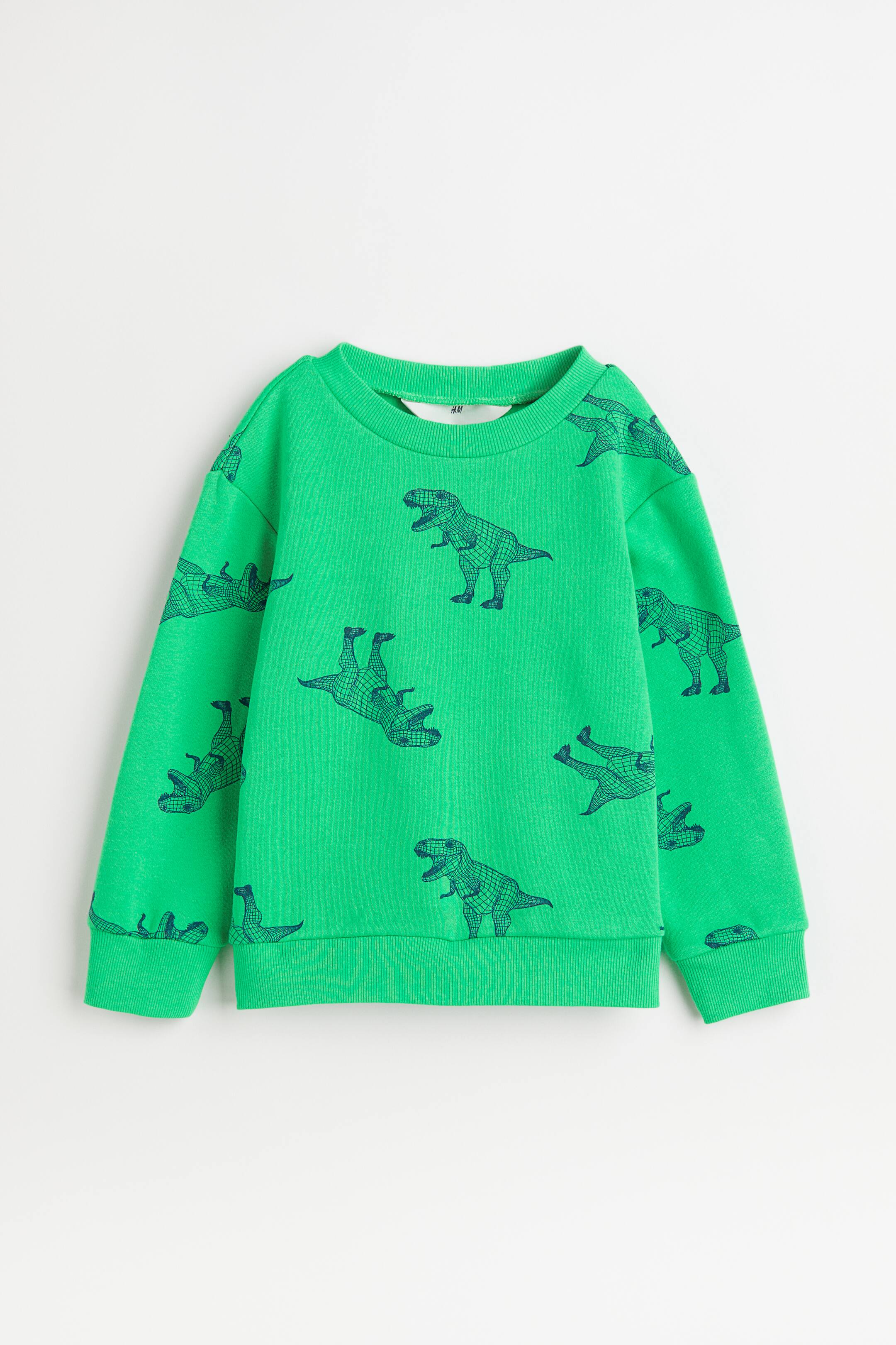 Xem ảnh lớn hơn: Áo nỉ - Màu xanh lá sáng/Khủng long - Kids | H&M VN 1