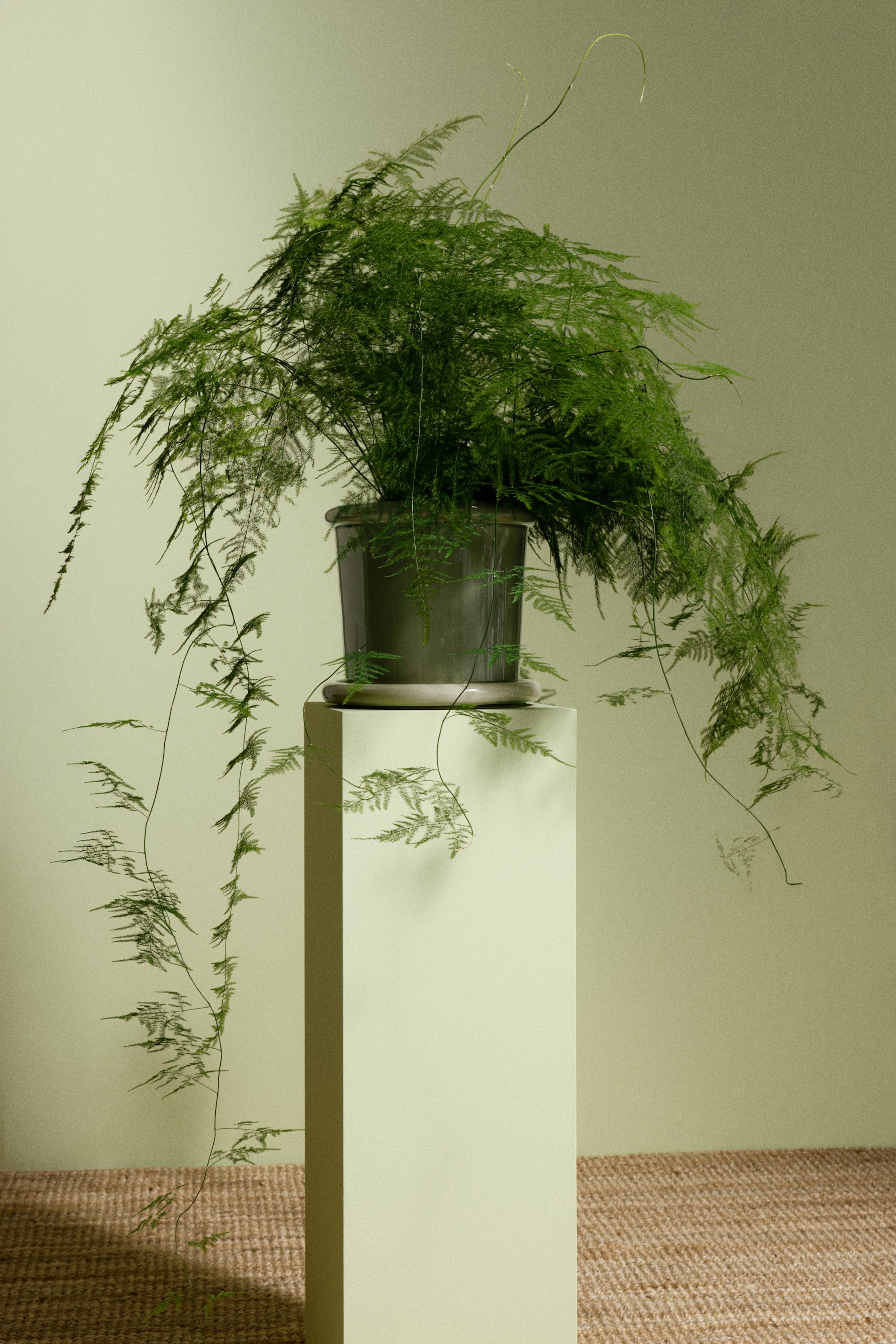 View larger image: Large Stoneware Plant Pot with Saucer - Light green - Home All | H&M US 1