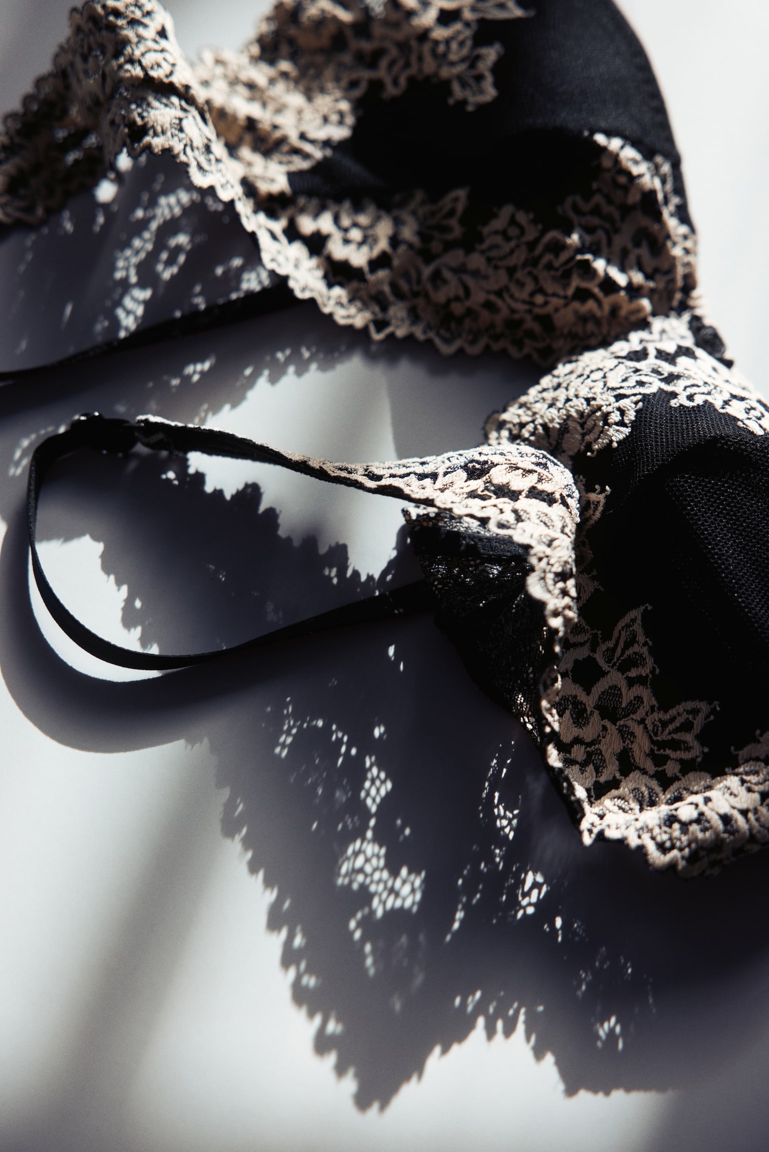 Padded soft lace bra - Black/Cream/Light pink/Dark brown - 8