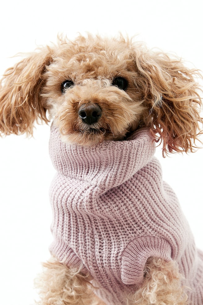 Frill-trimmed dog jumper - Dusty pink - 1
