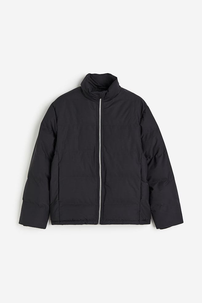 Regular Fit Puffer jacket - Black/Cream - 1