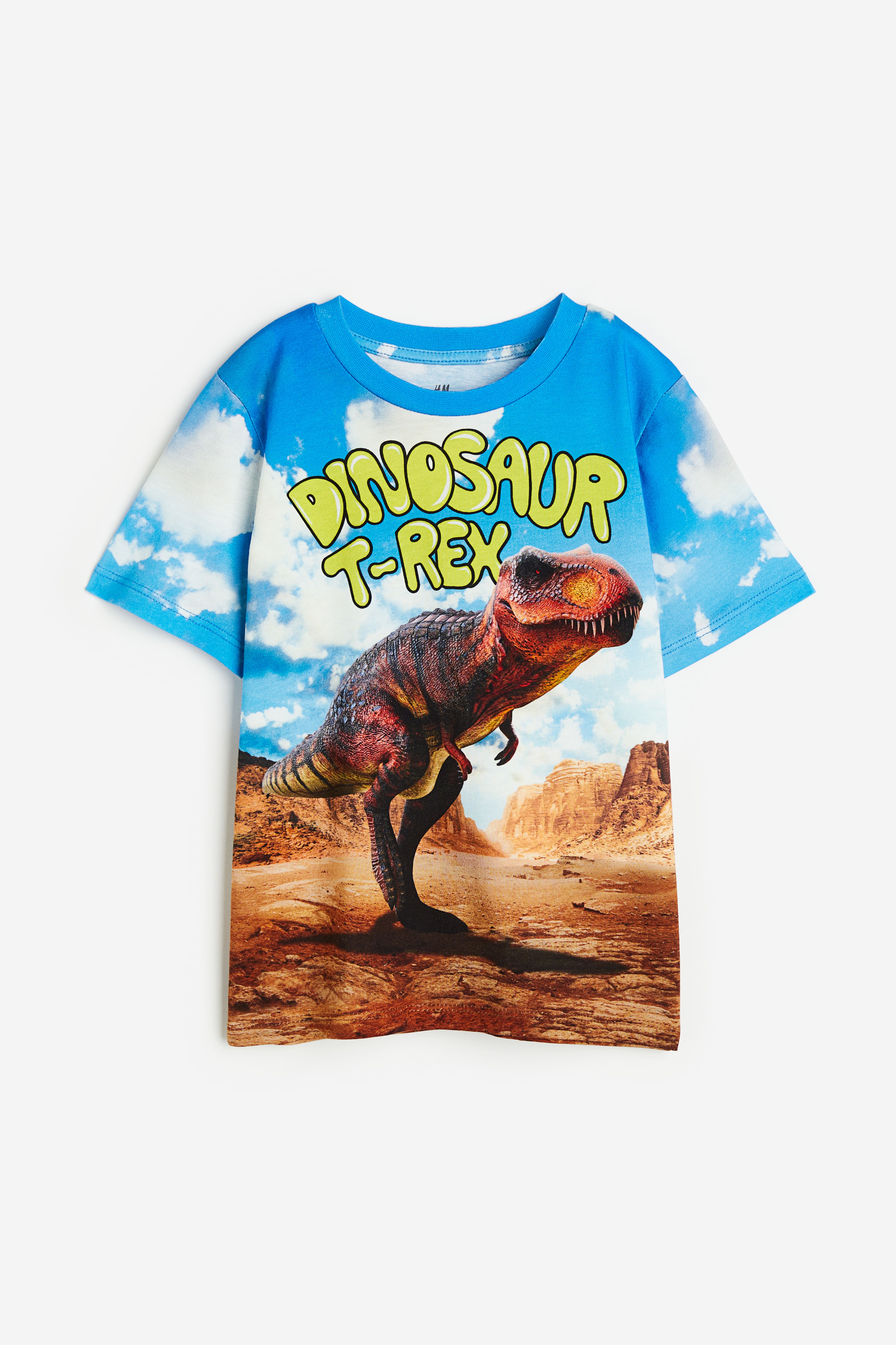 Camiseta dinosaurio shops niño h&m