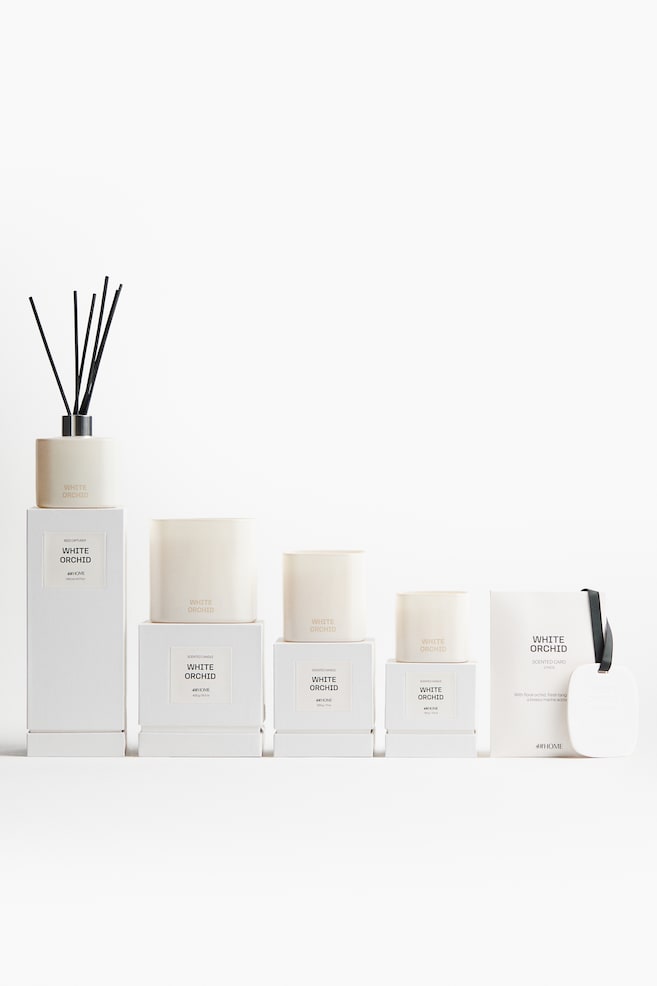 Vela aromática en recipiente de vidrio - White Orchid/Dark Honey/Juniper Haze/Golden Saffron - 3