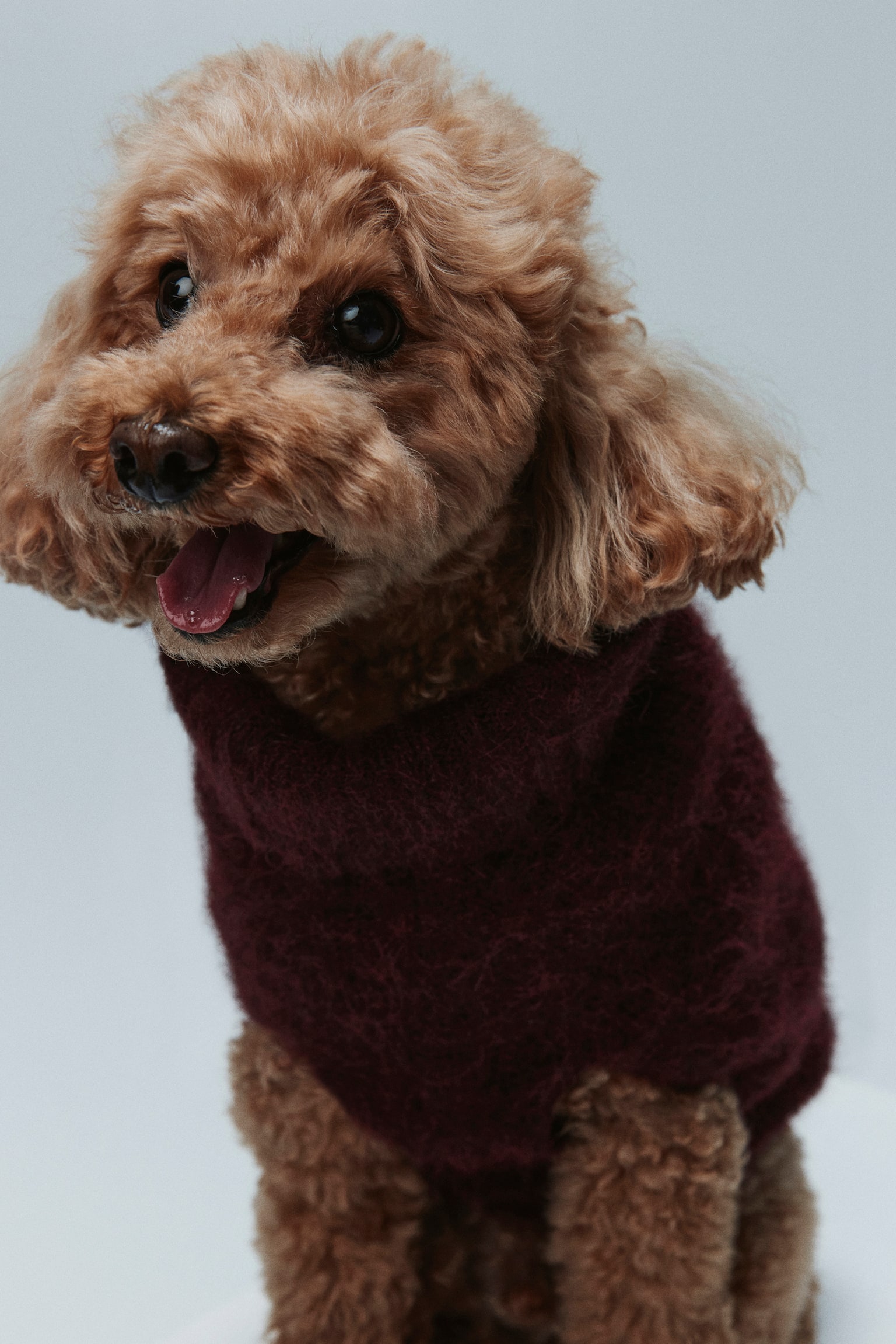 Fluffig stickad hundtröja - Vinröd/Mörk khakigrön - 3