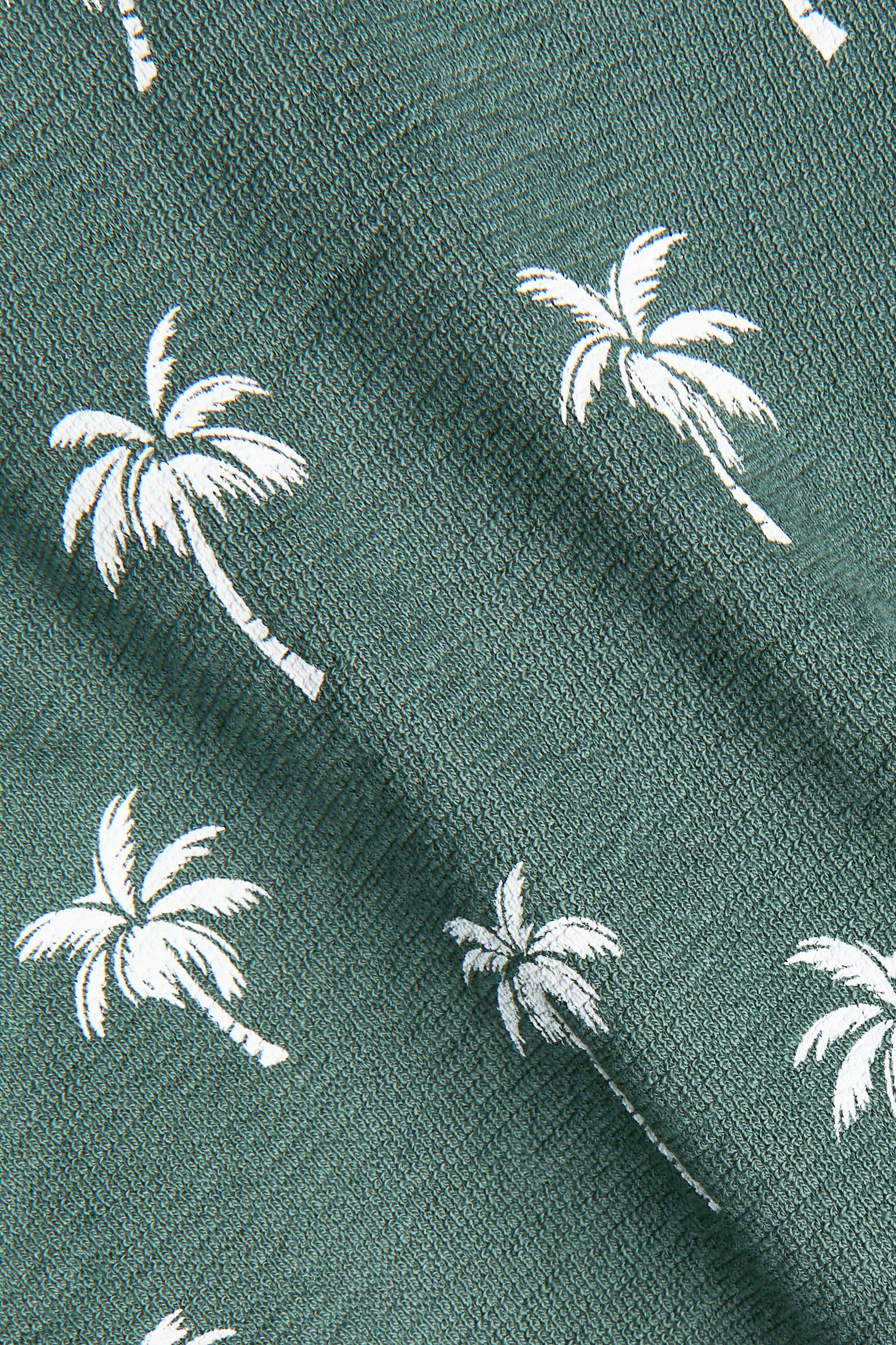 2-piece cotton jersey set - Dark green/Palm trees/Navy blue/Striped/White/Dinosaurs/Brown/Palm trees/Light beige/Blue striped - 3